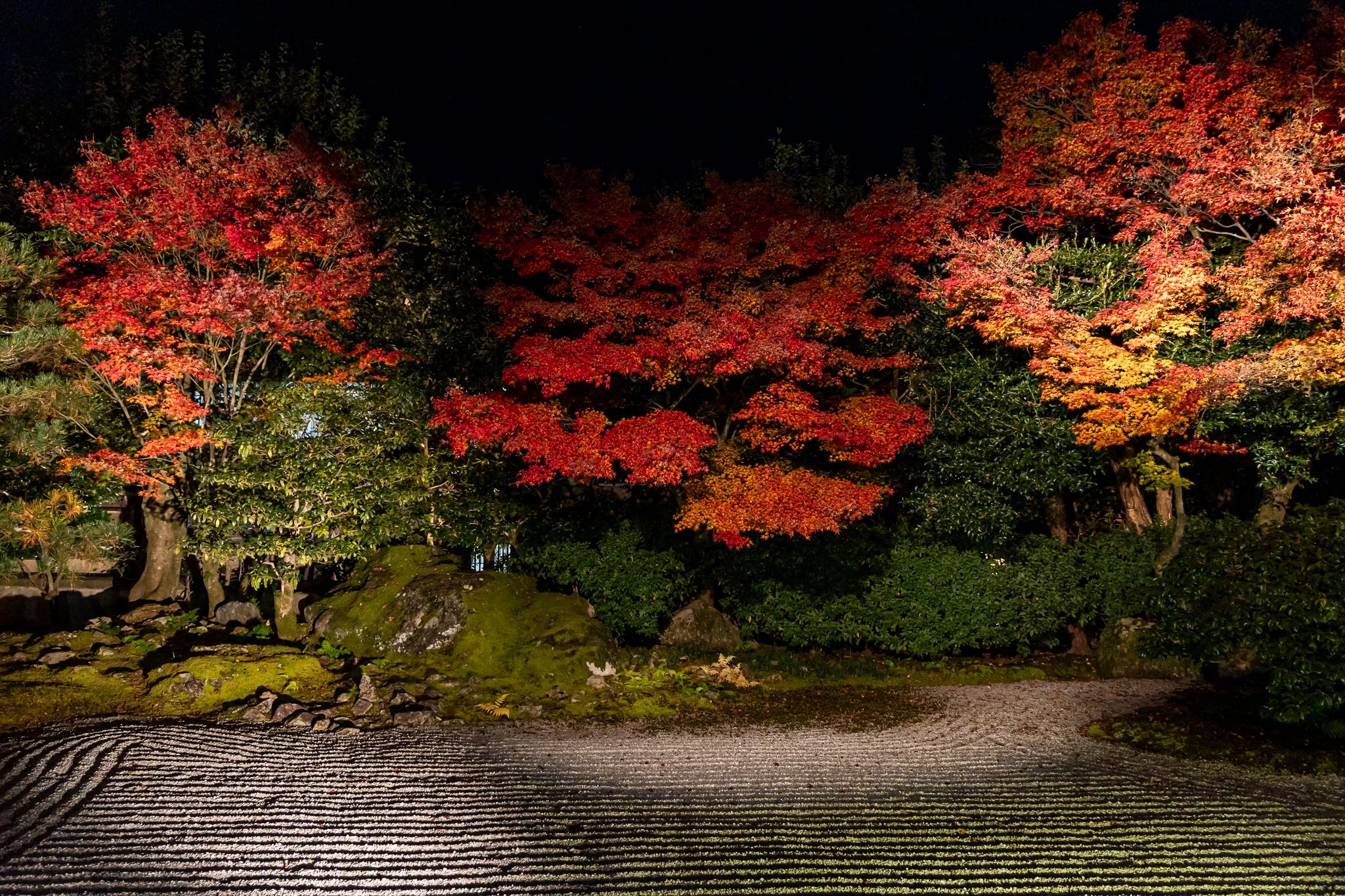 F19A3361_kodai-ji.jpg