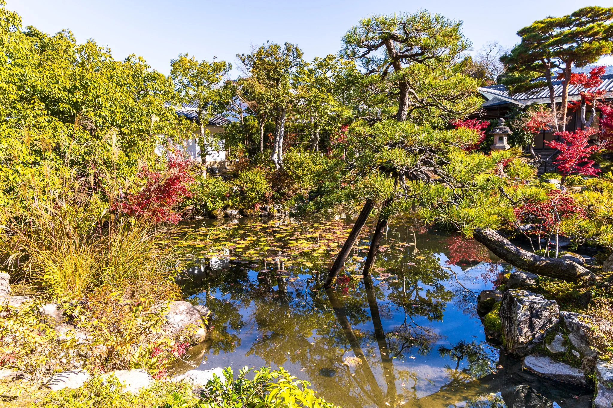 F19A3502_isuien-garden.jpg