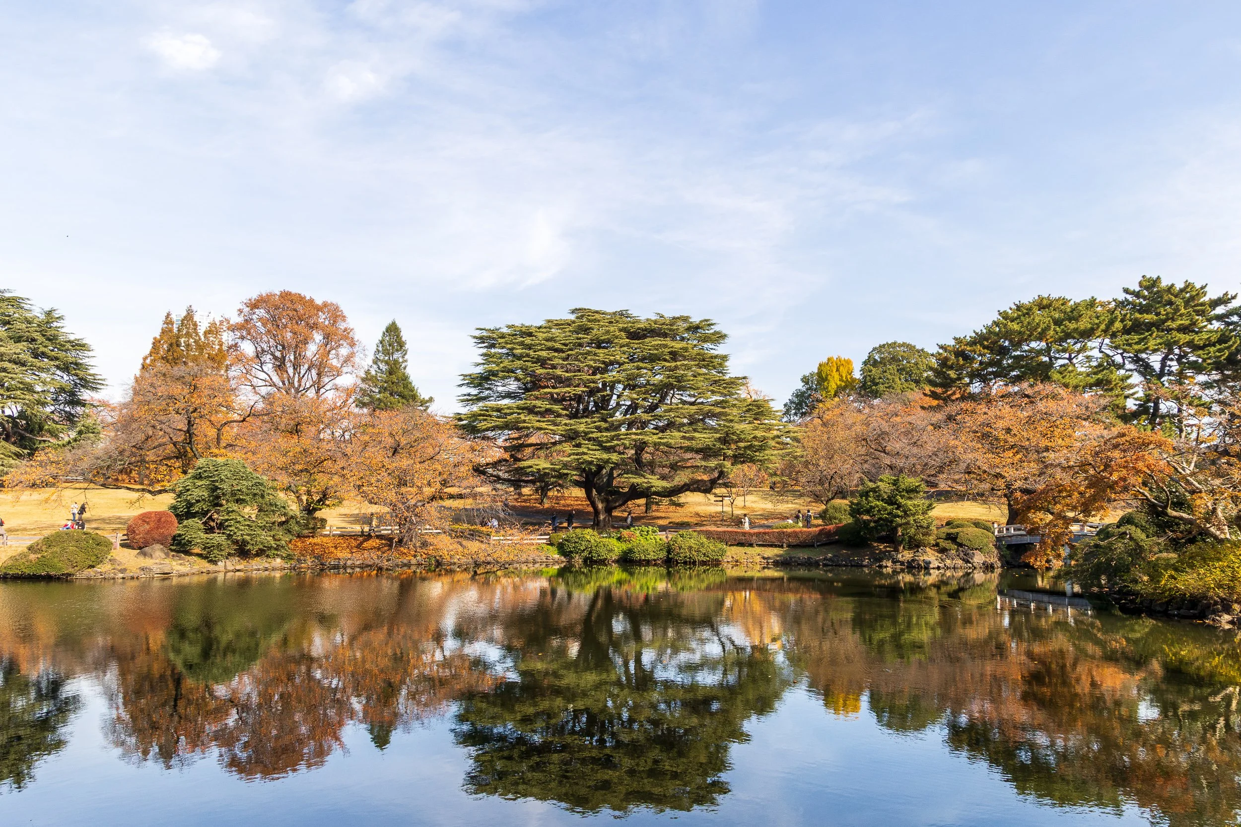 F19A2392_shinjuku-gyoen-national-garden.jpg