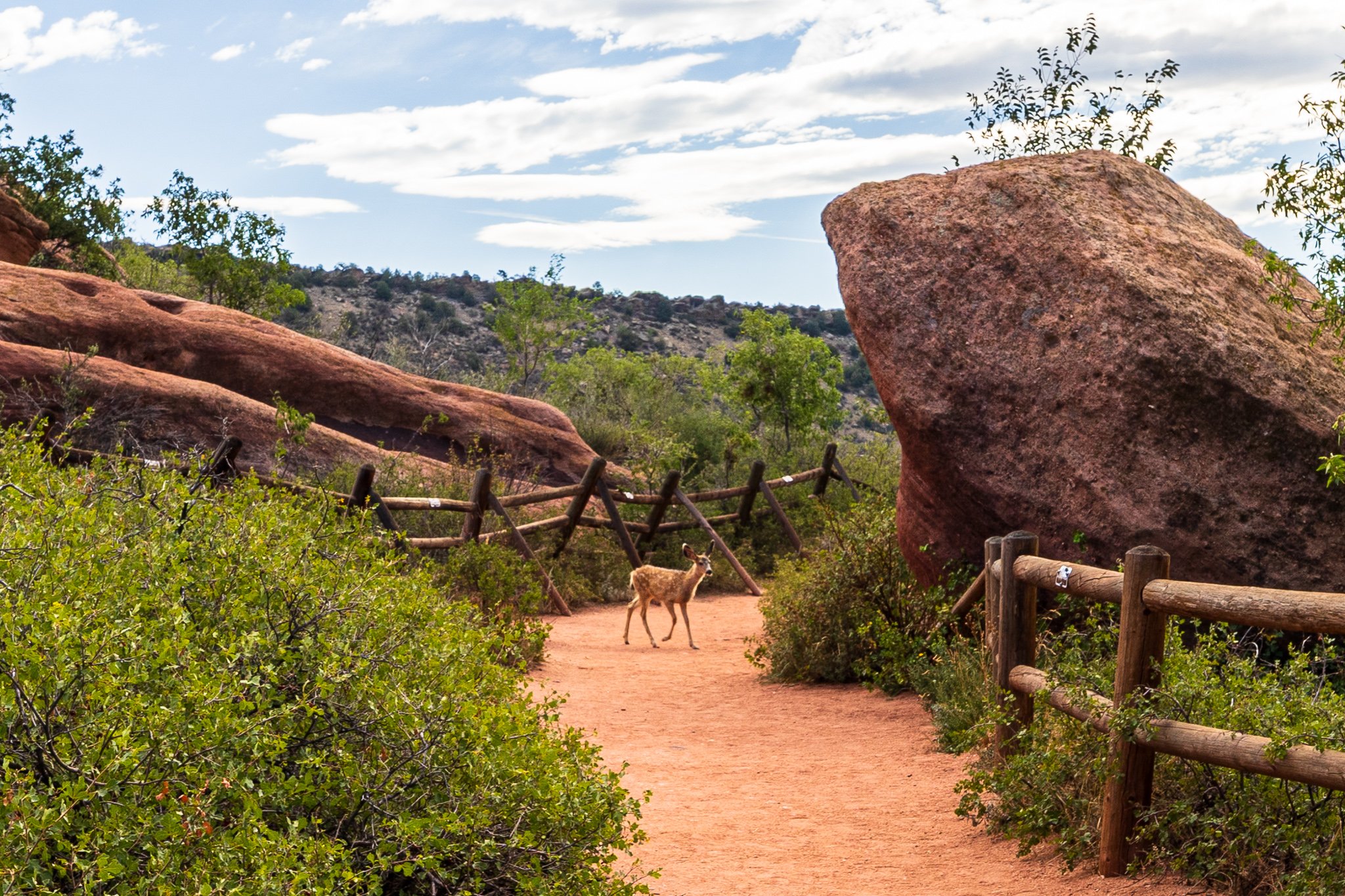 F19A9756_red-rocks-trading-post-trail.jpg