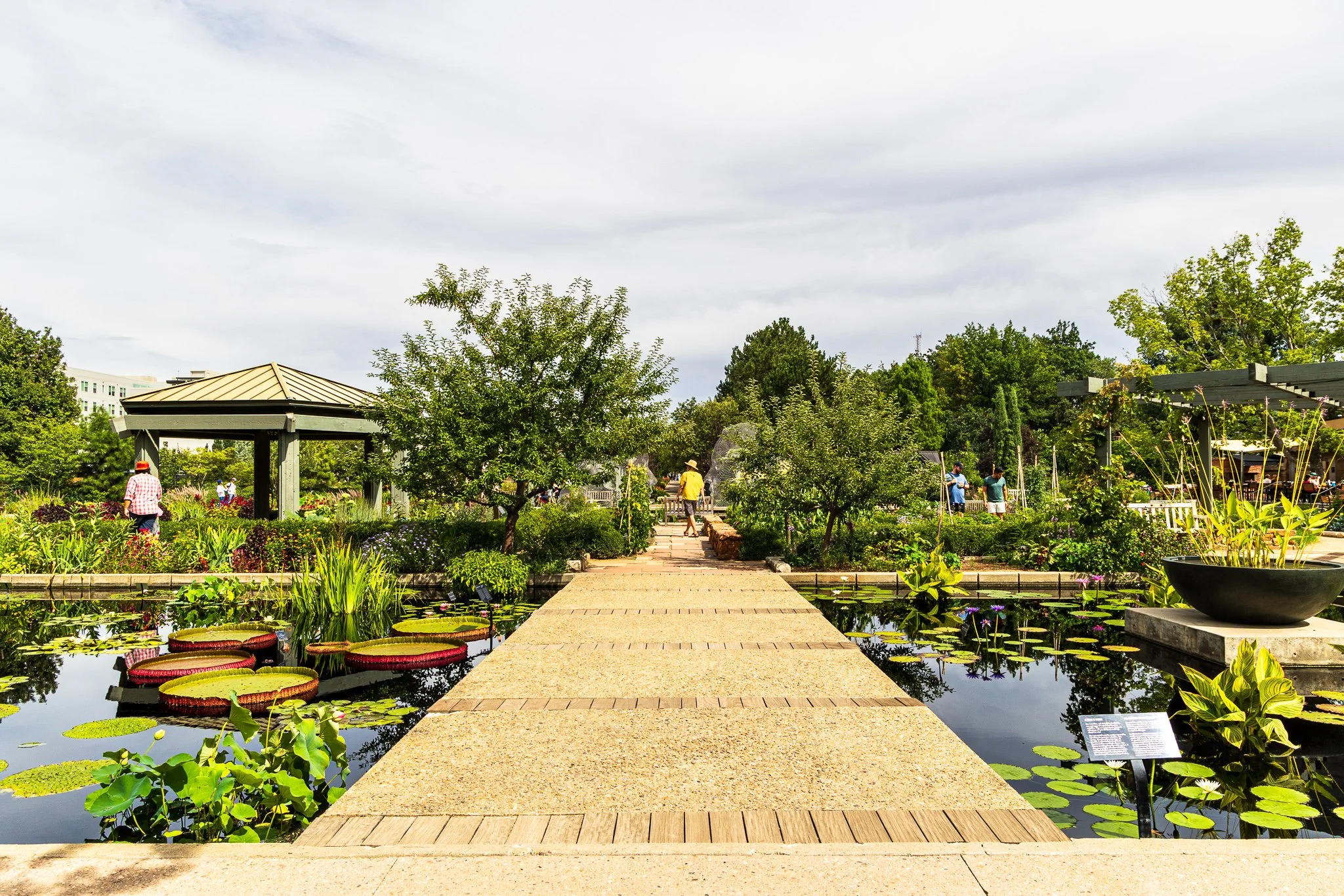 F19A9934_denver-botanic-gardens.jpg