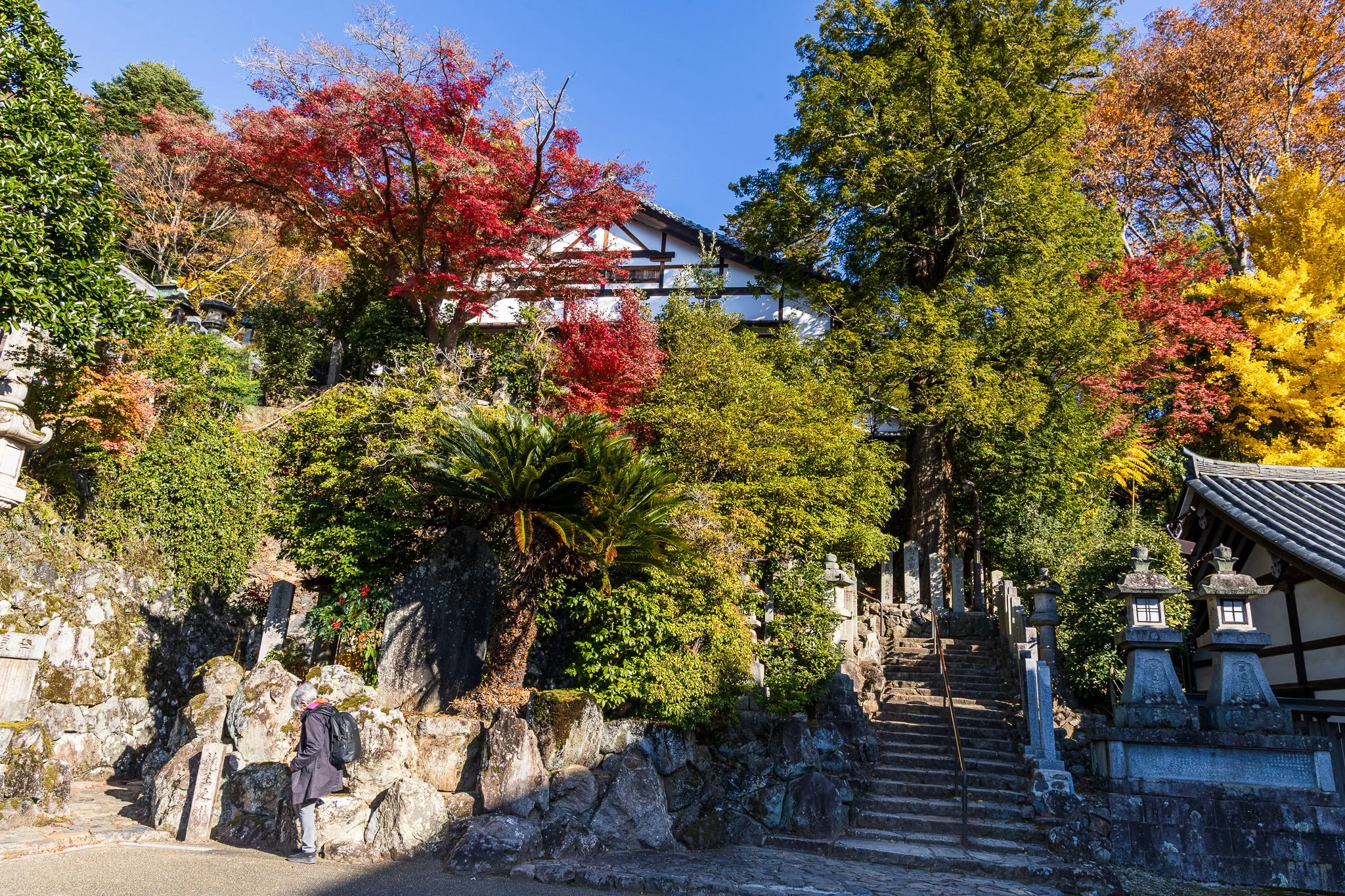 F19A3628_todai-ji-nigatsu-do.jpg
