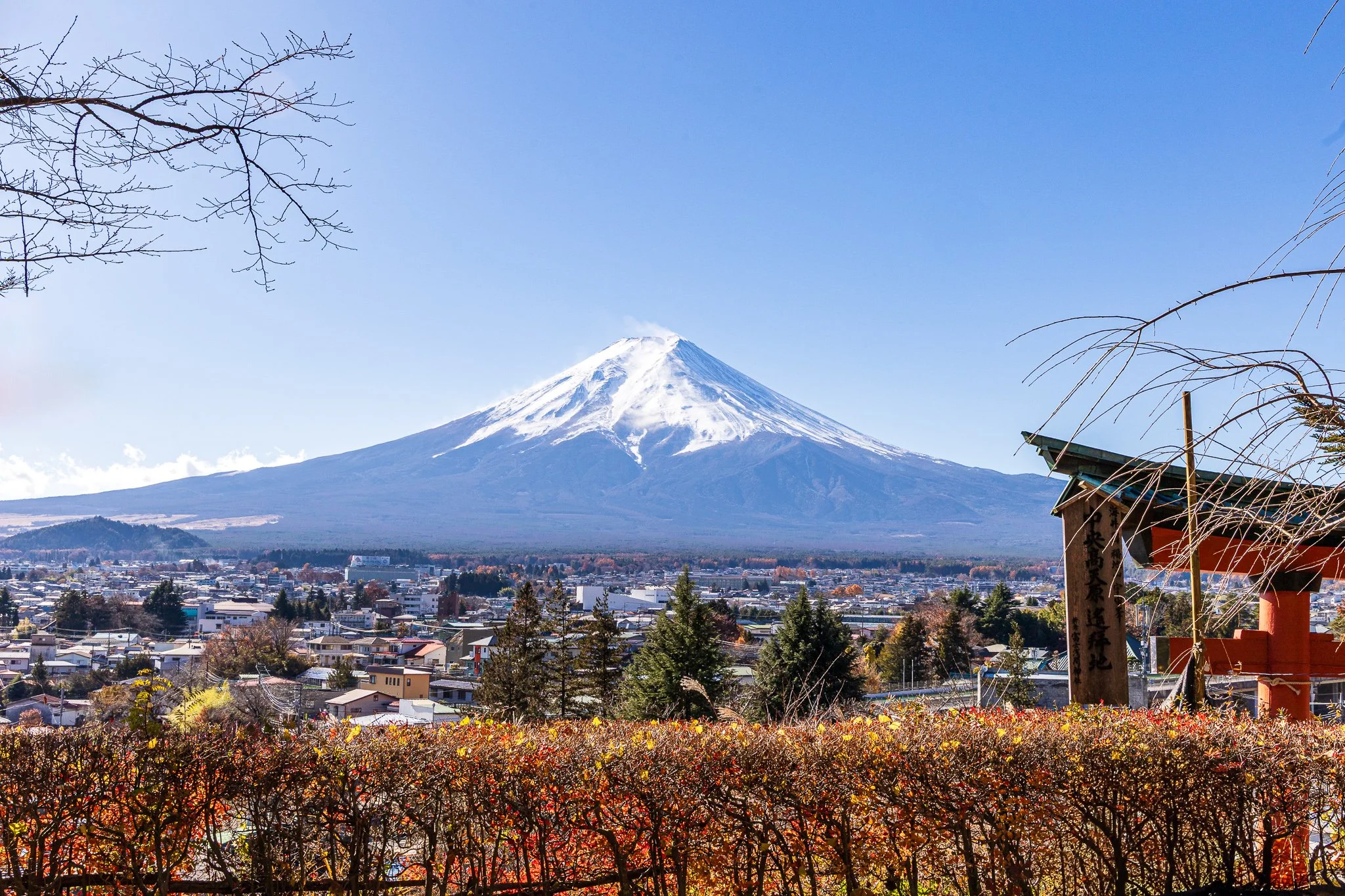 F19A2640_arakurayama-sengen-park.jpg