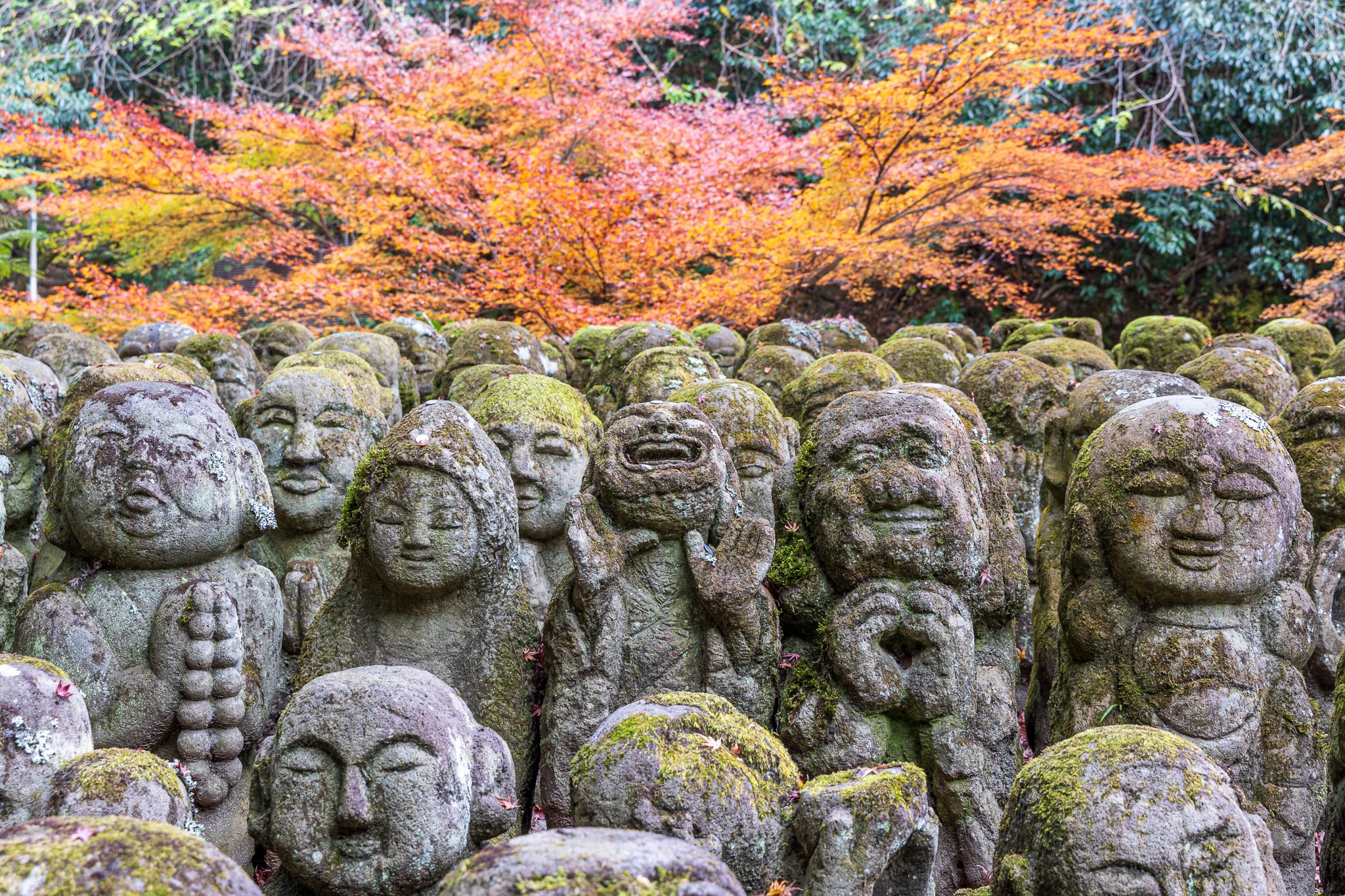 F19A4156_otagi-nenbutsu-ji.jpg