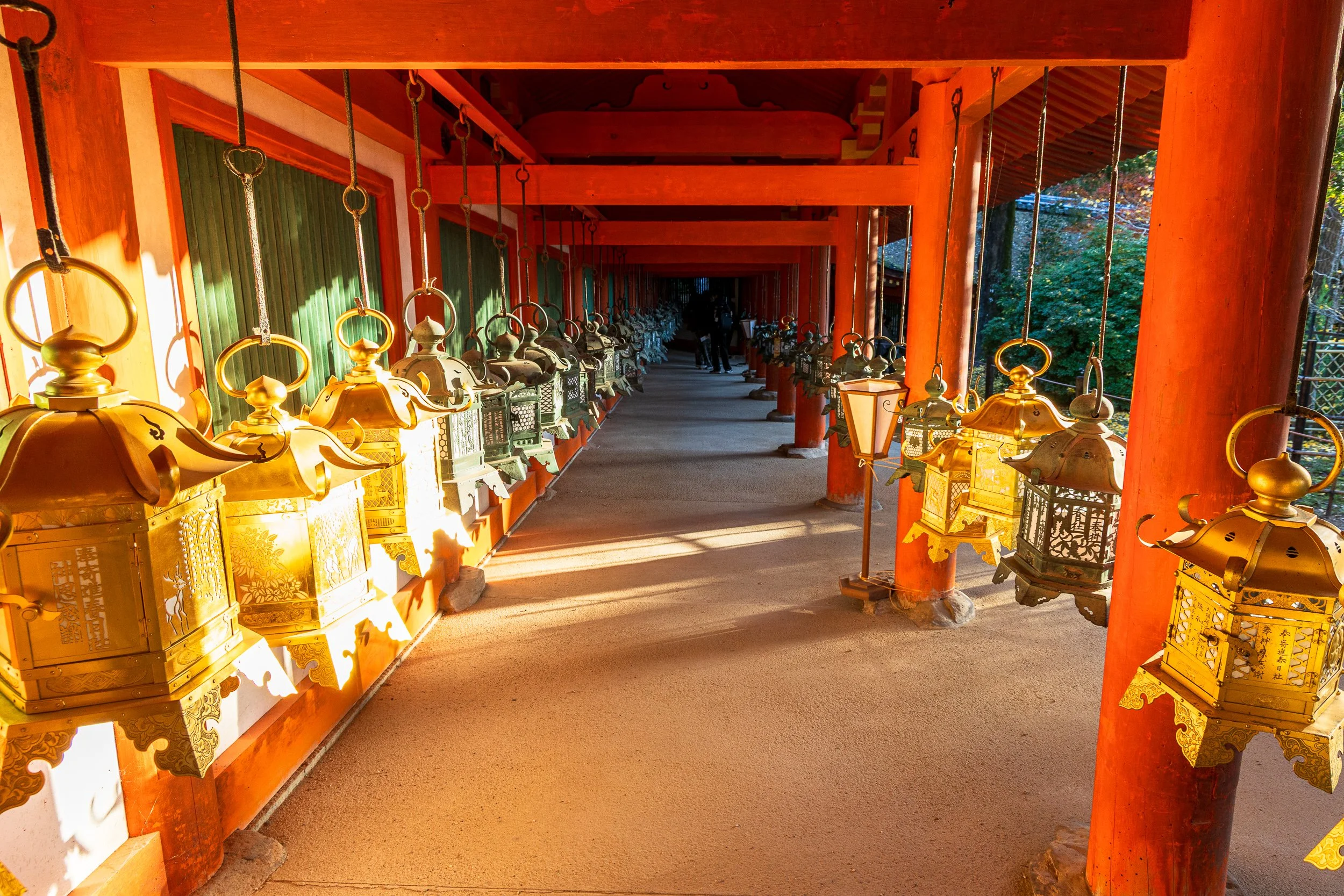 F19A3728_kasuga-taisha.jpg