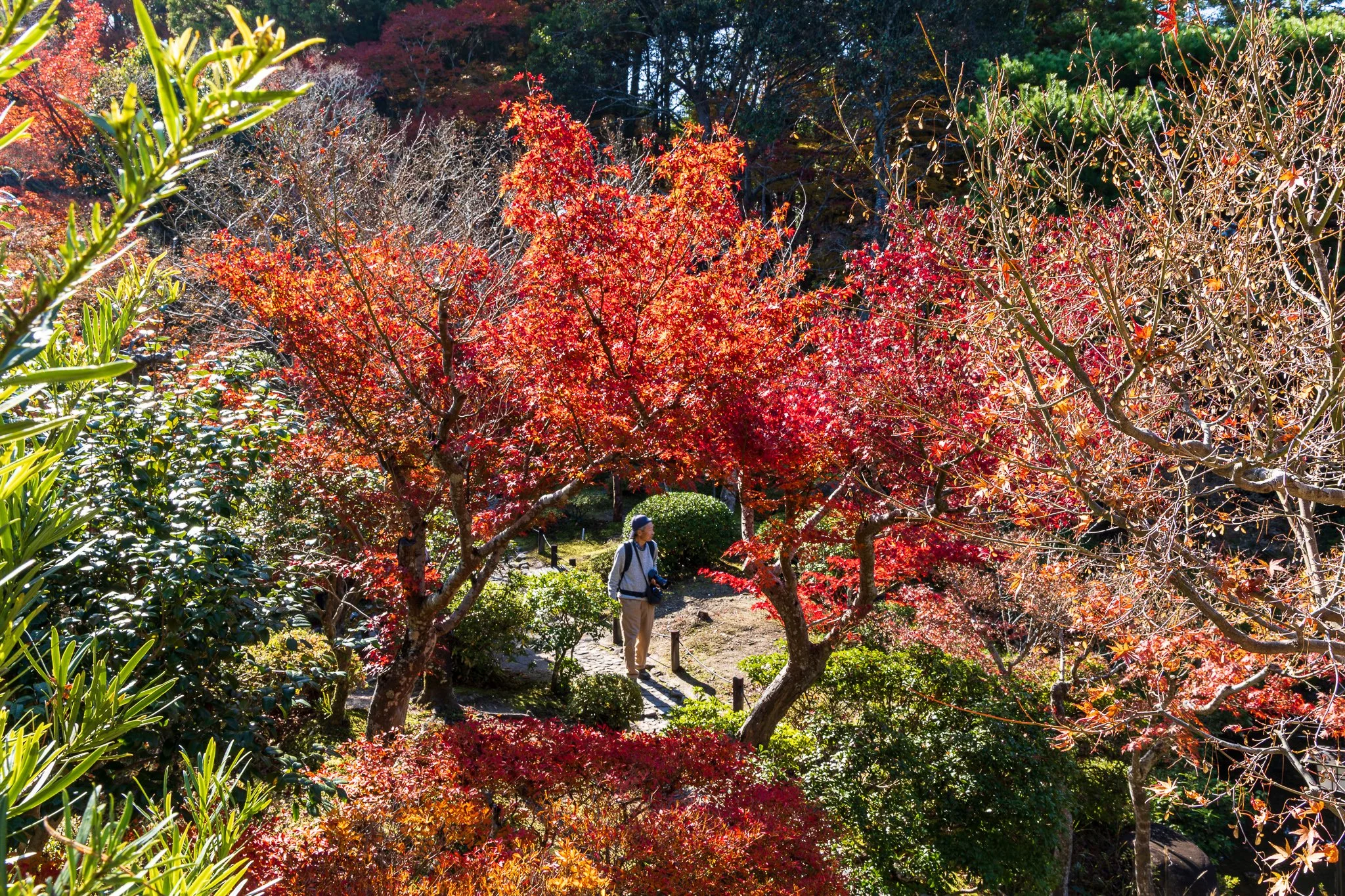 F19A3489_yoshikien-garden.jpg