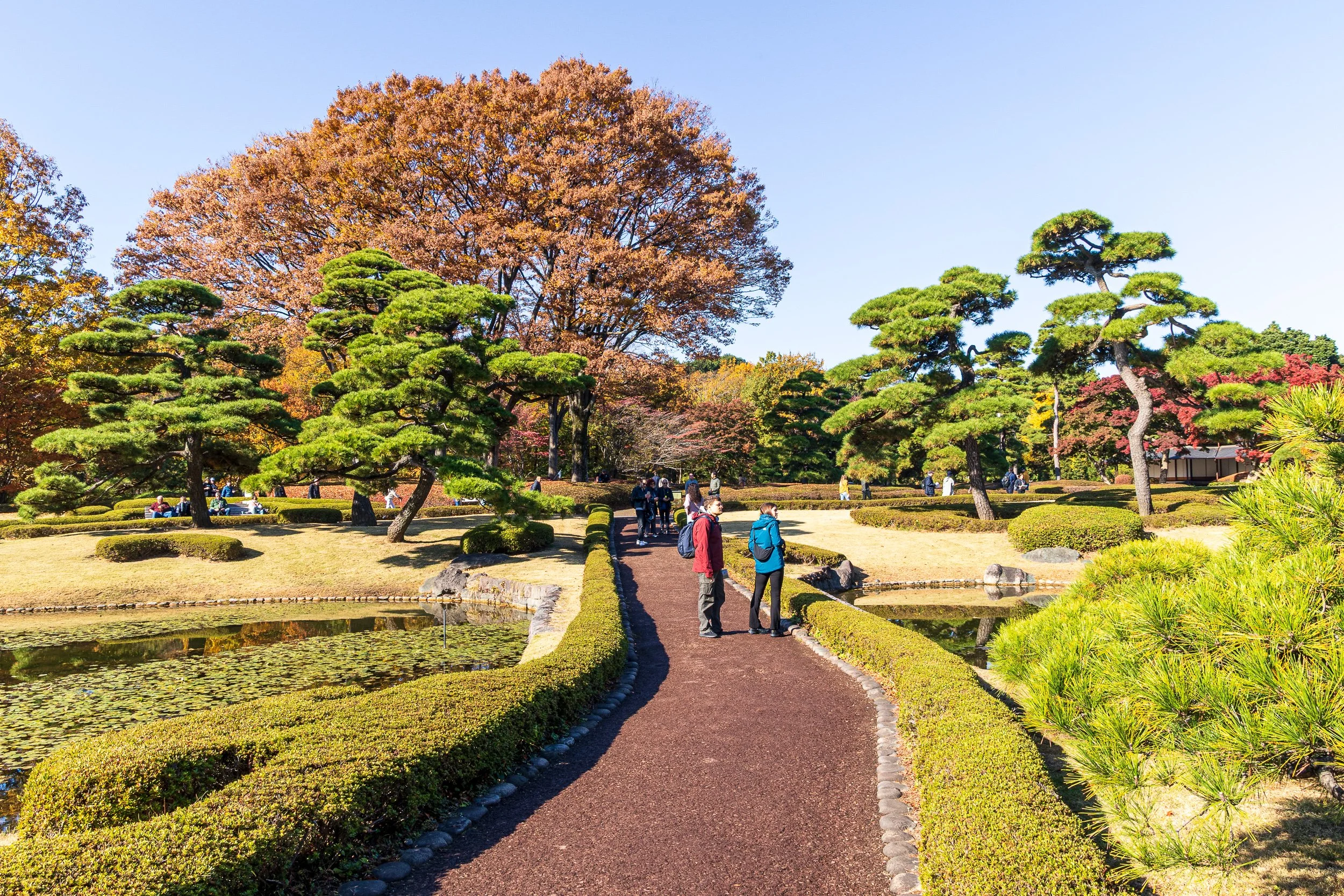 F19A1762_imperial-palace-east-gardens.jpg