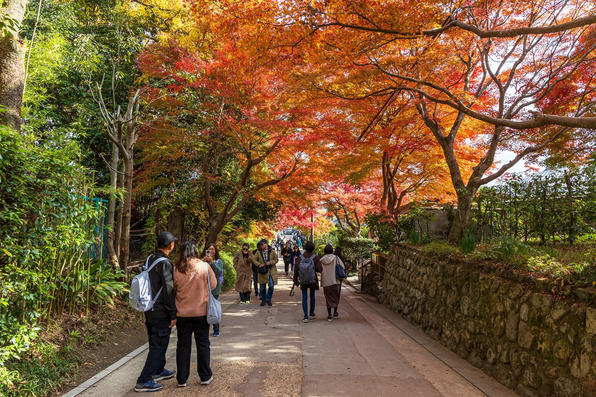 F19A3984_jojakko-ji.jpg