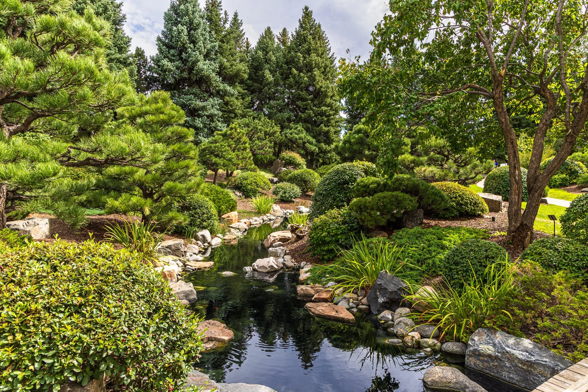 F19A9968_denver-botanic-gardens.jpg