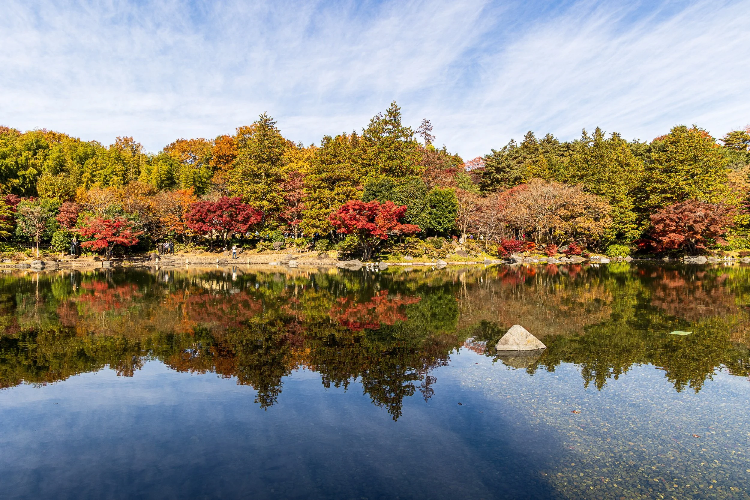 F19A0720_showa-kinen-park.jpg