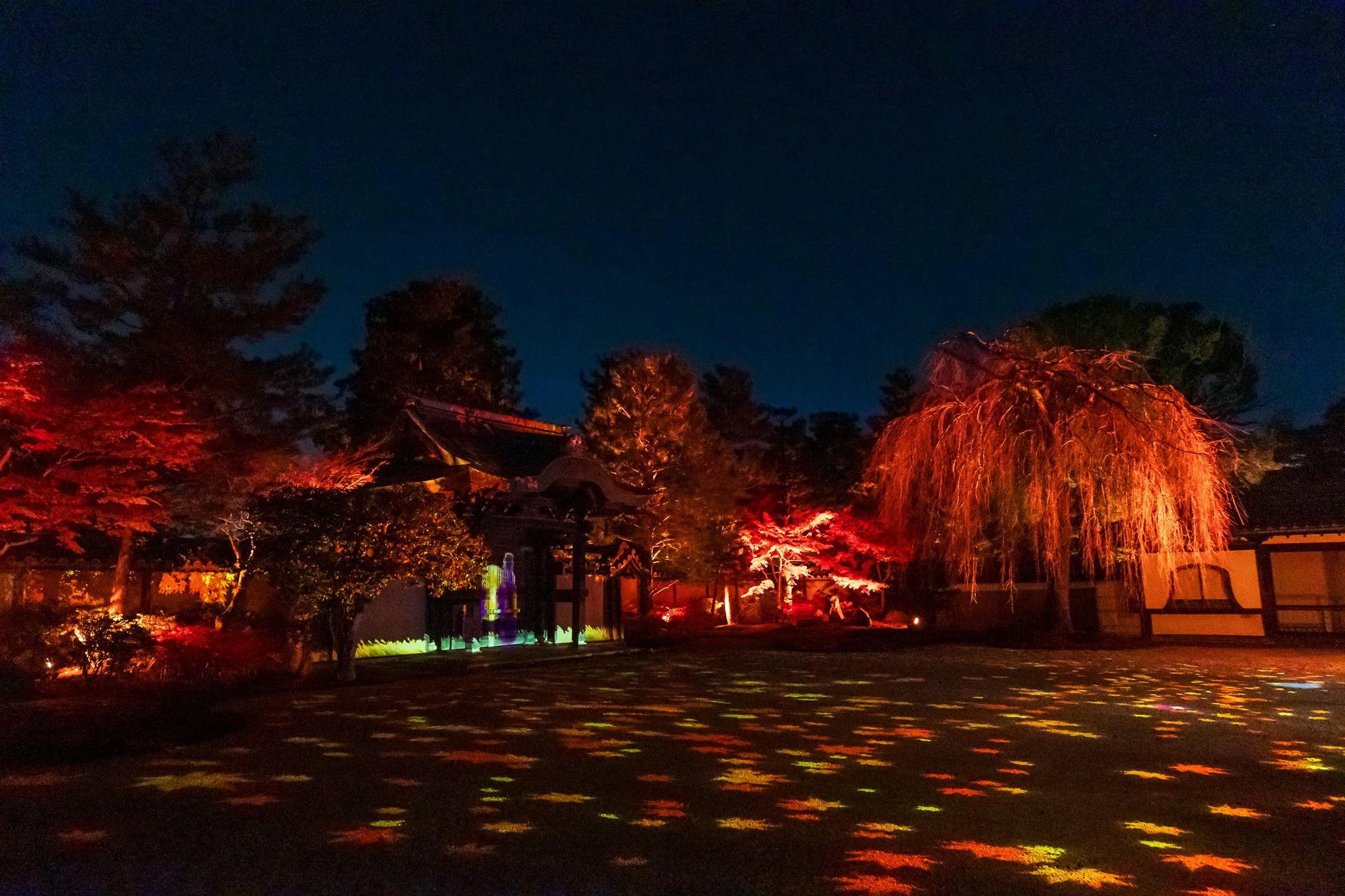 F19A3275_kodai-ji.jpg