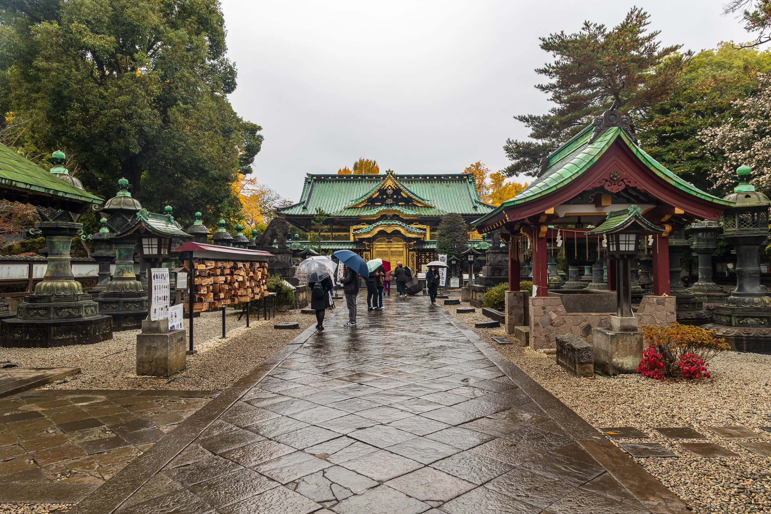 F19A1235_ueno-park.jpg