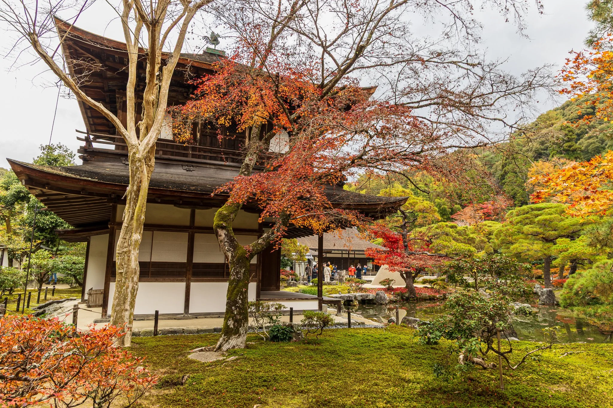 F19A4772_ginkaku-ji.jpg