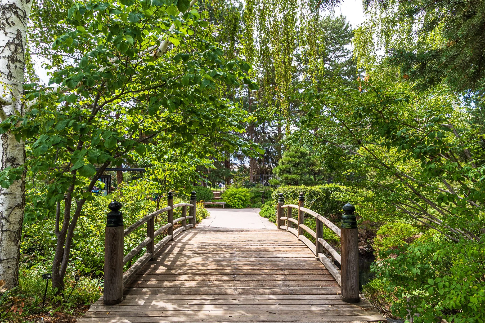 F19A9914_denver-botanic-gardens.jpg