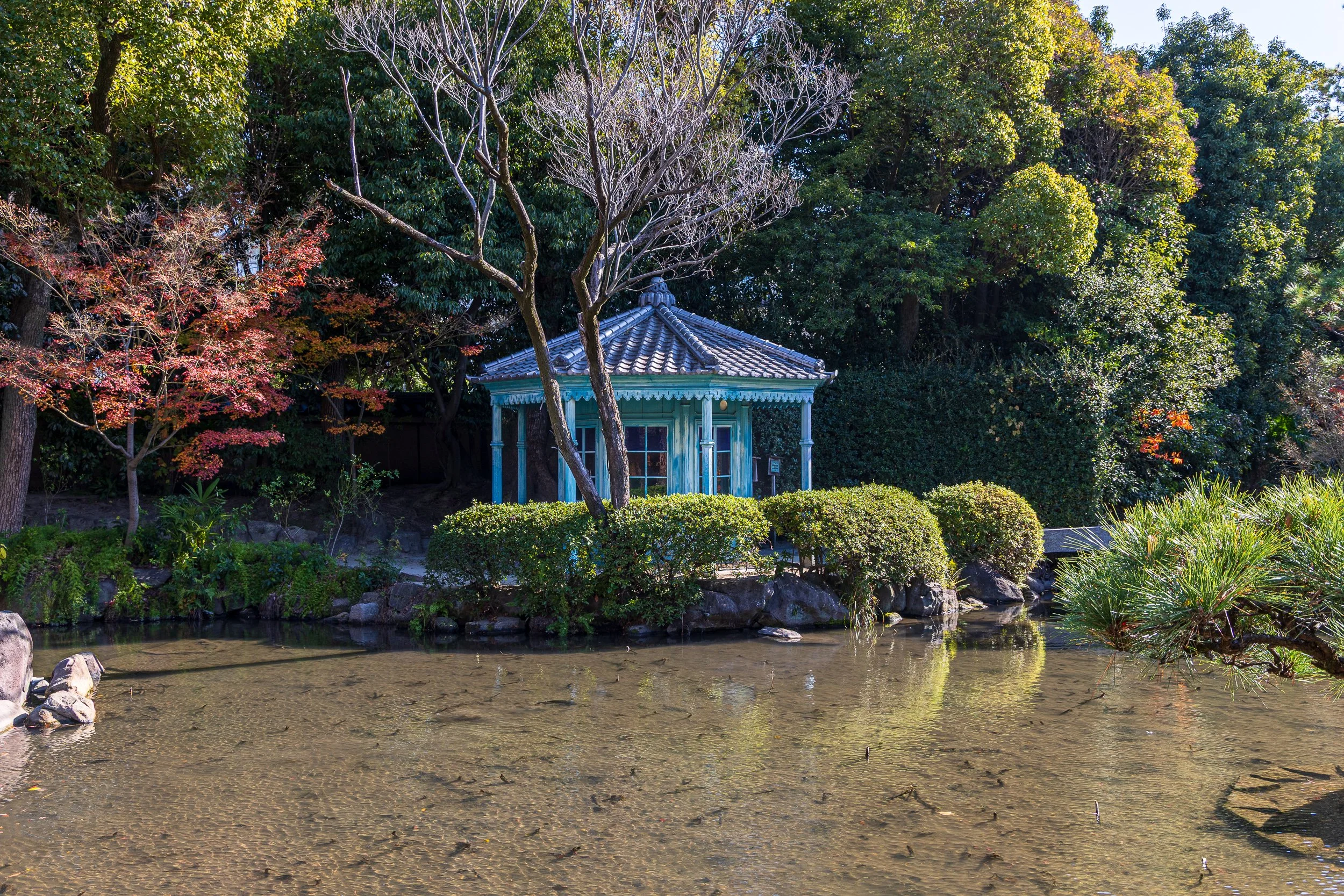 F19A5516_shitenno-ji.jpg