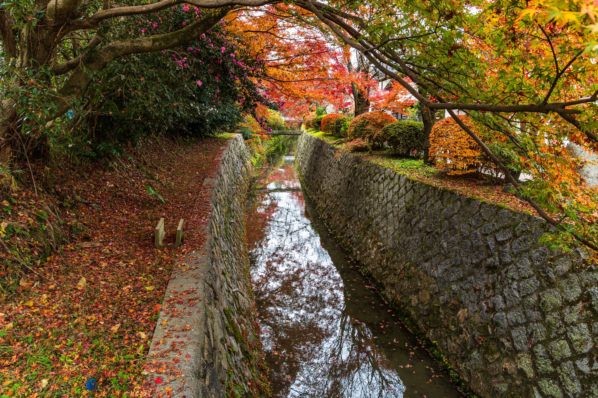 F19A4793_philosophers-path.jpg