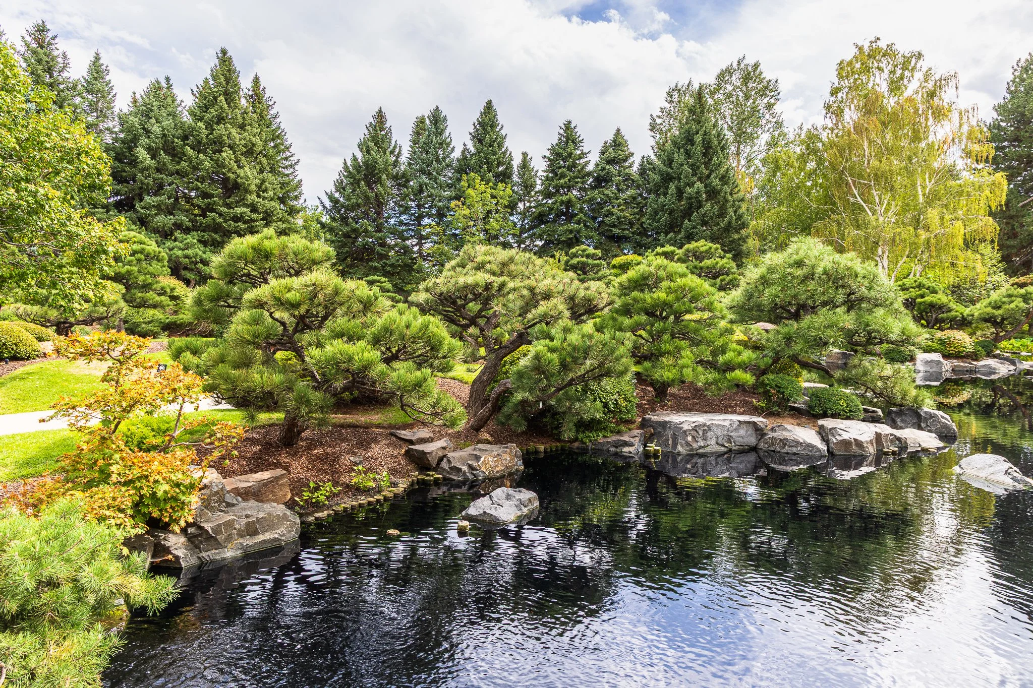 F19A9970_denver-botanic-gardens.jpg
