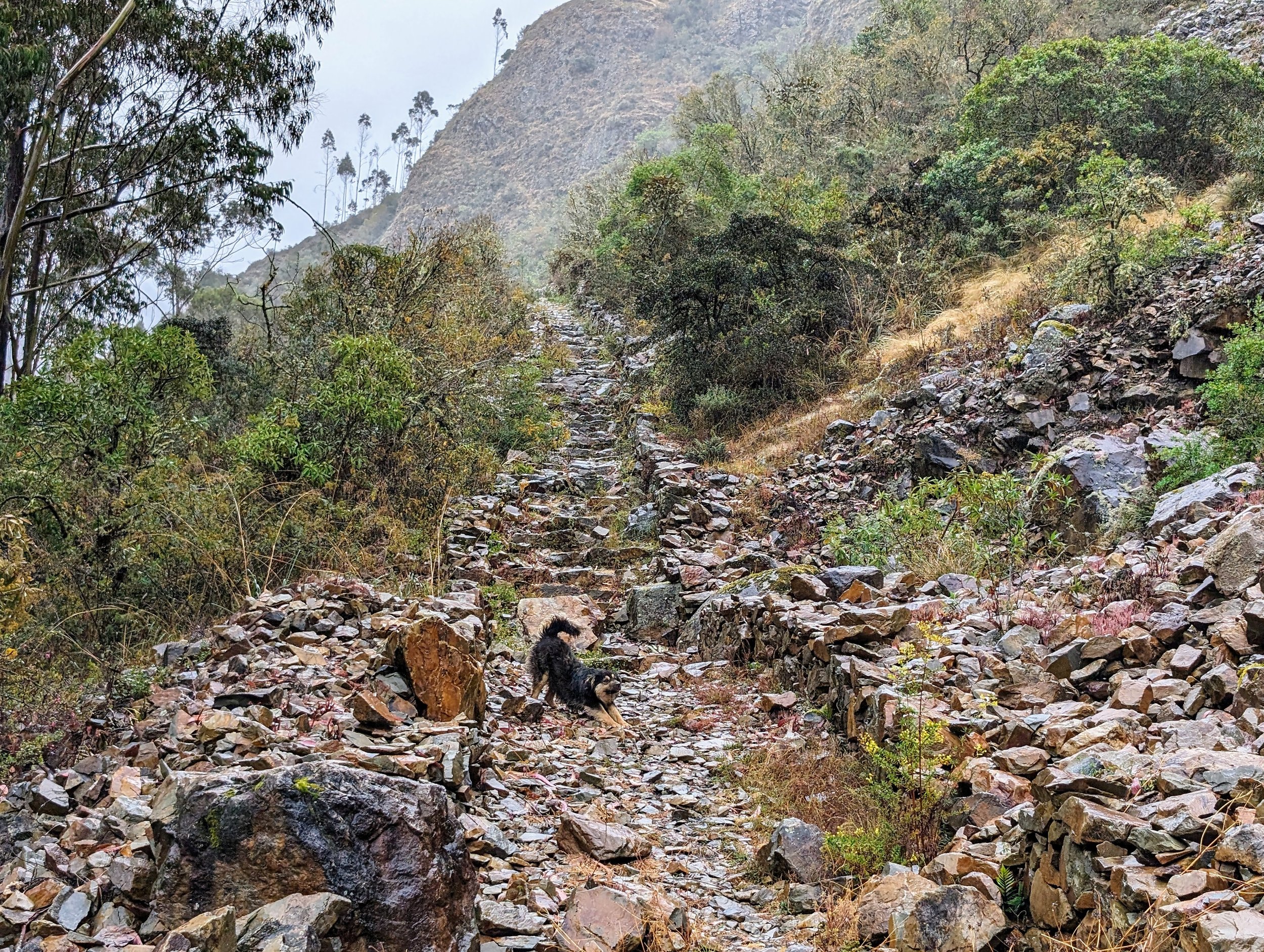 PXL_20240619_141249462_lares-hot-springs.jpg
