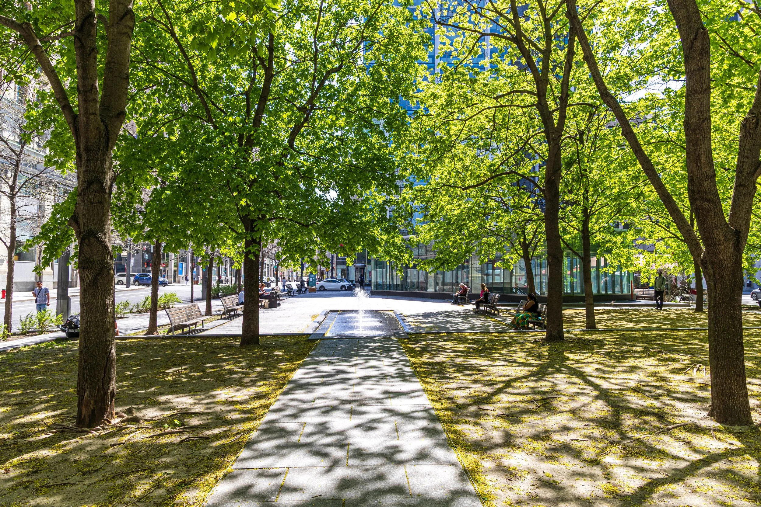 F19A1775_victoria-square.jpg