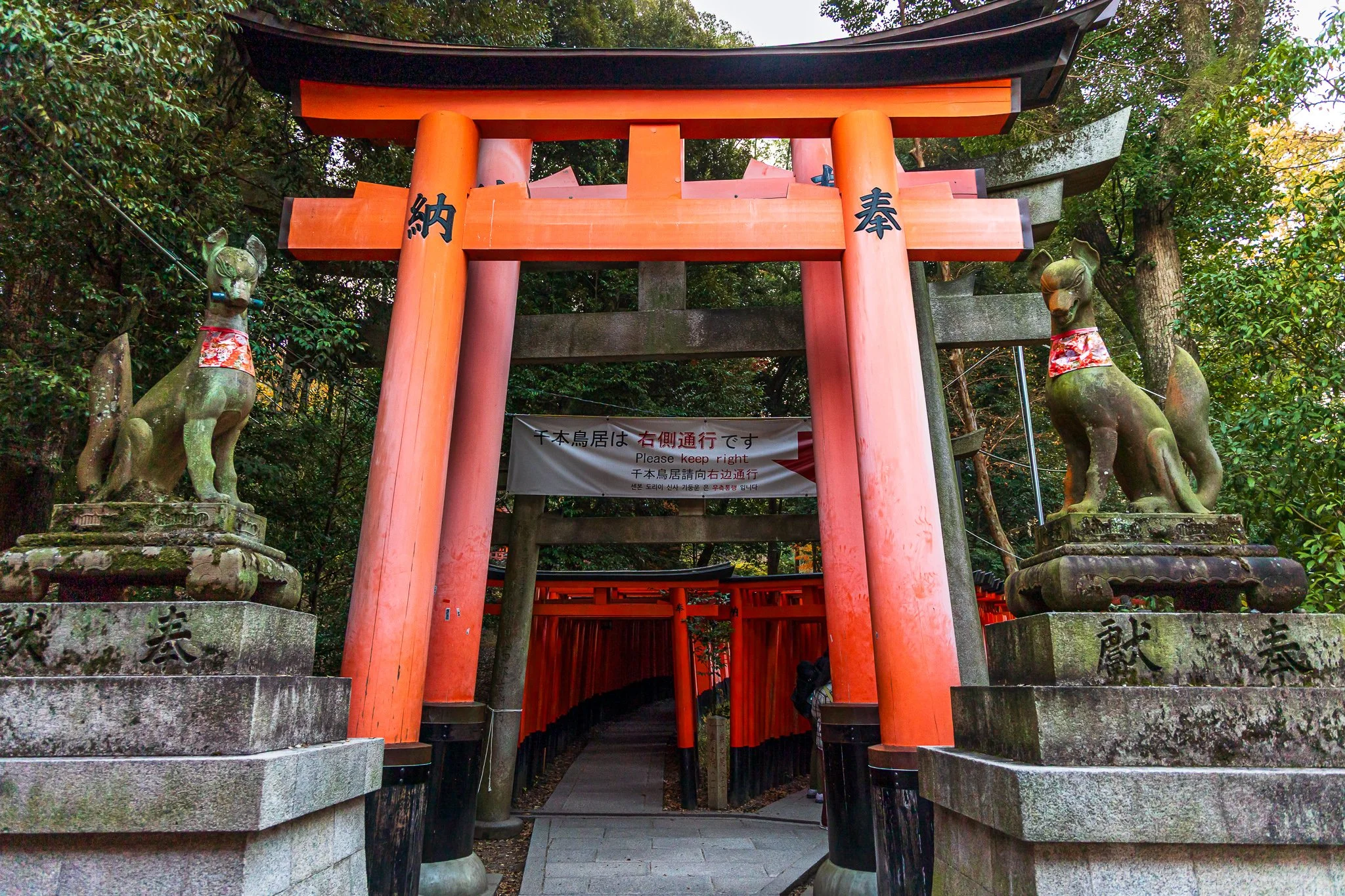 F19A4239_fushimi-inari-taisha.jpg