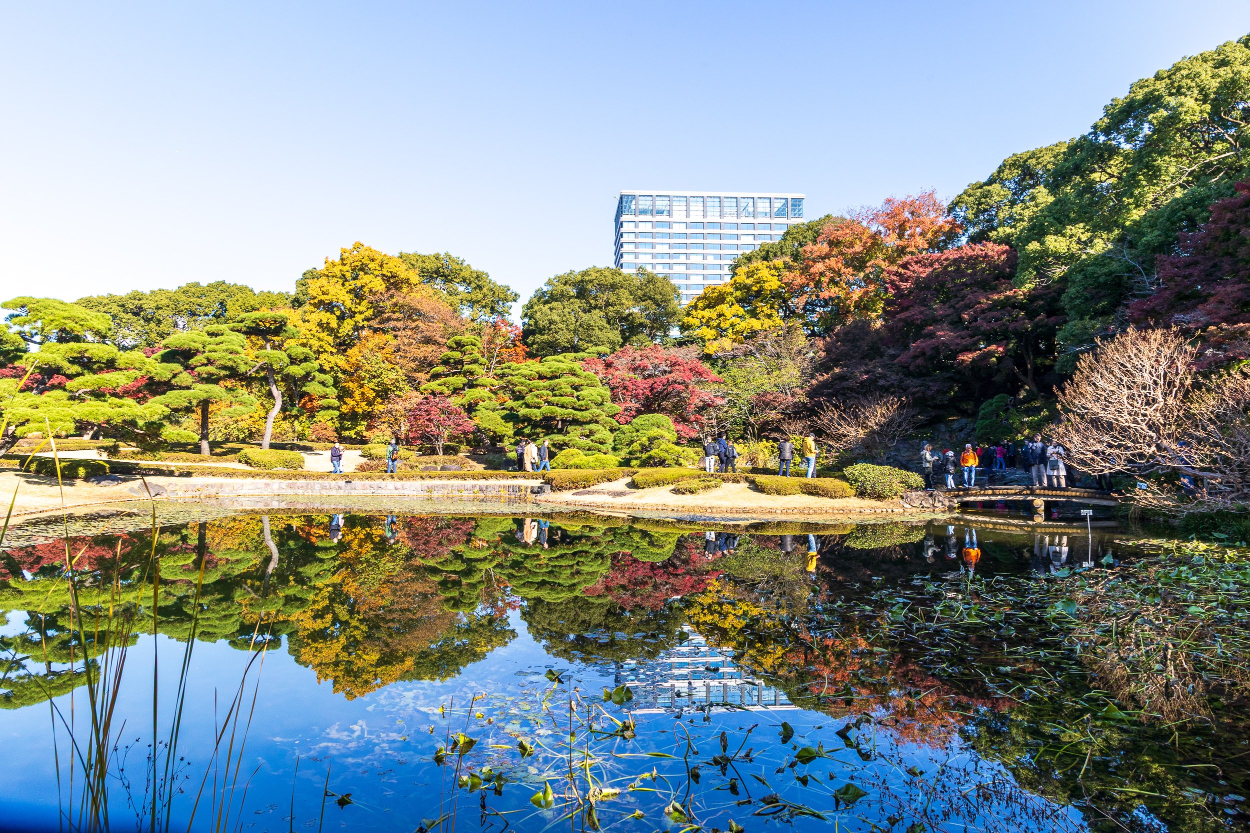 F19A1756_imperial-palace-east-gardens.jpg