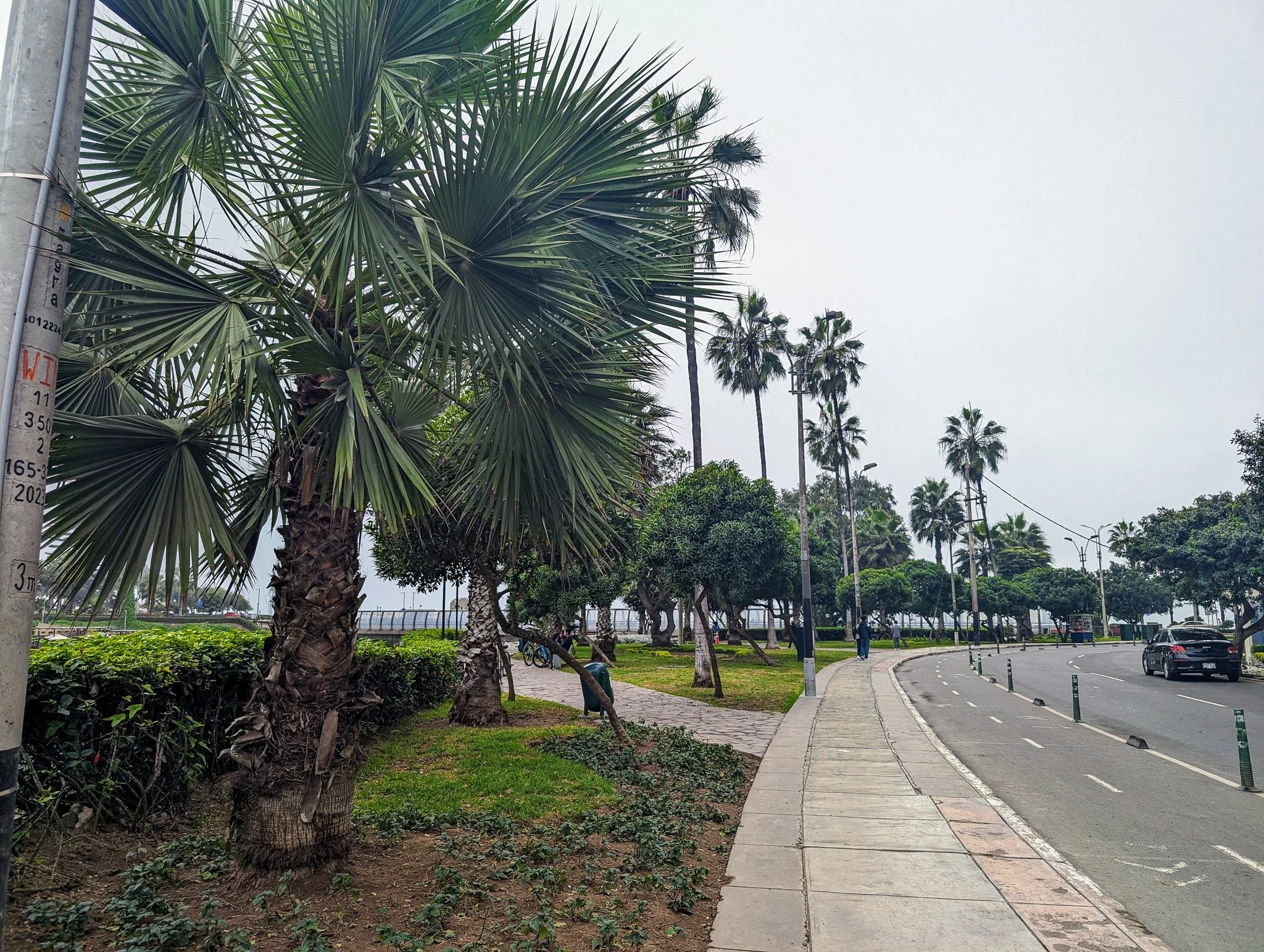 PXL_20240622_175221993_miraflores.jpg