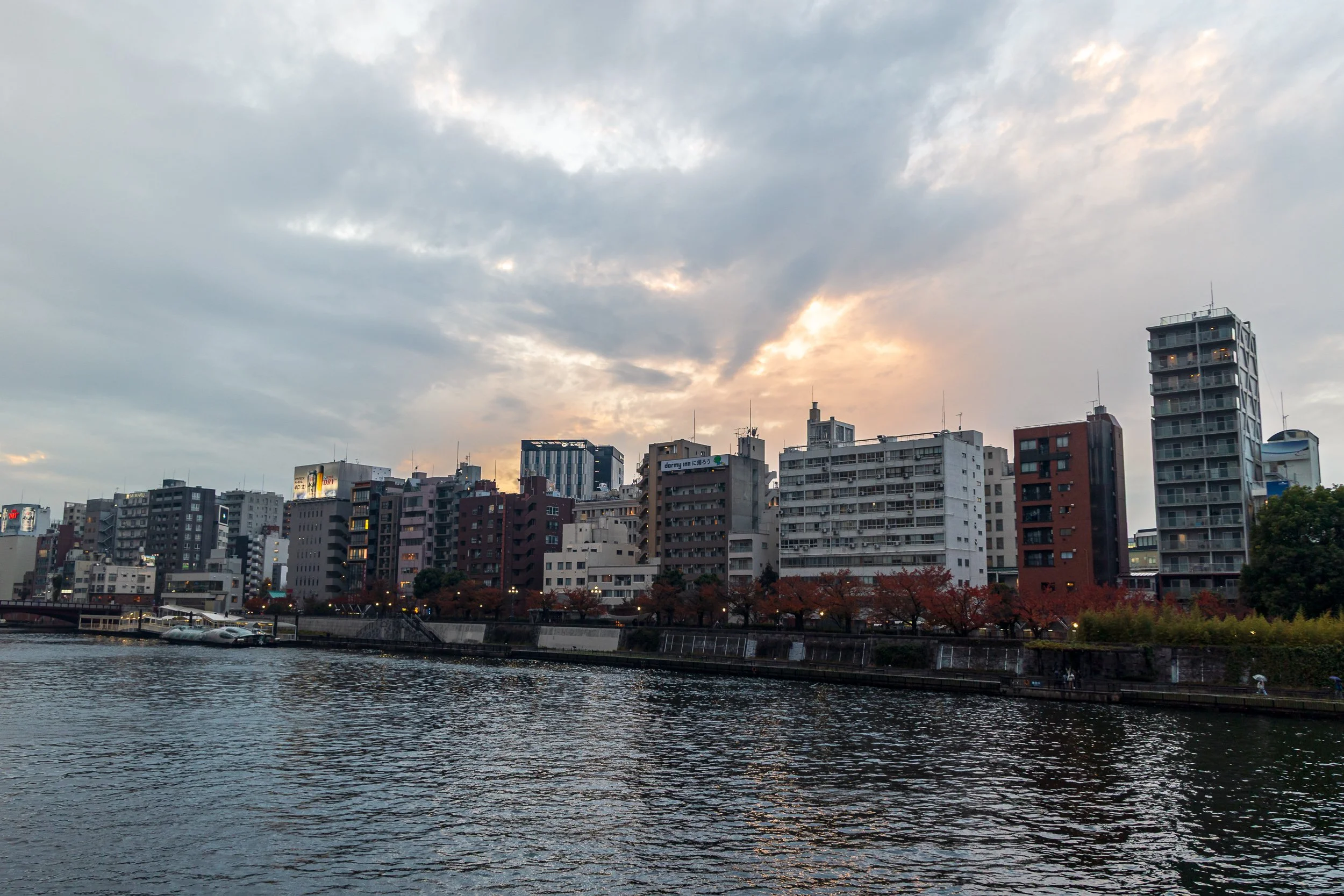 F19A1422_sumida-park.jpg