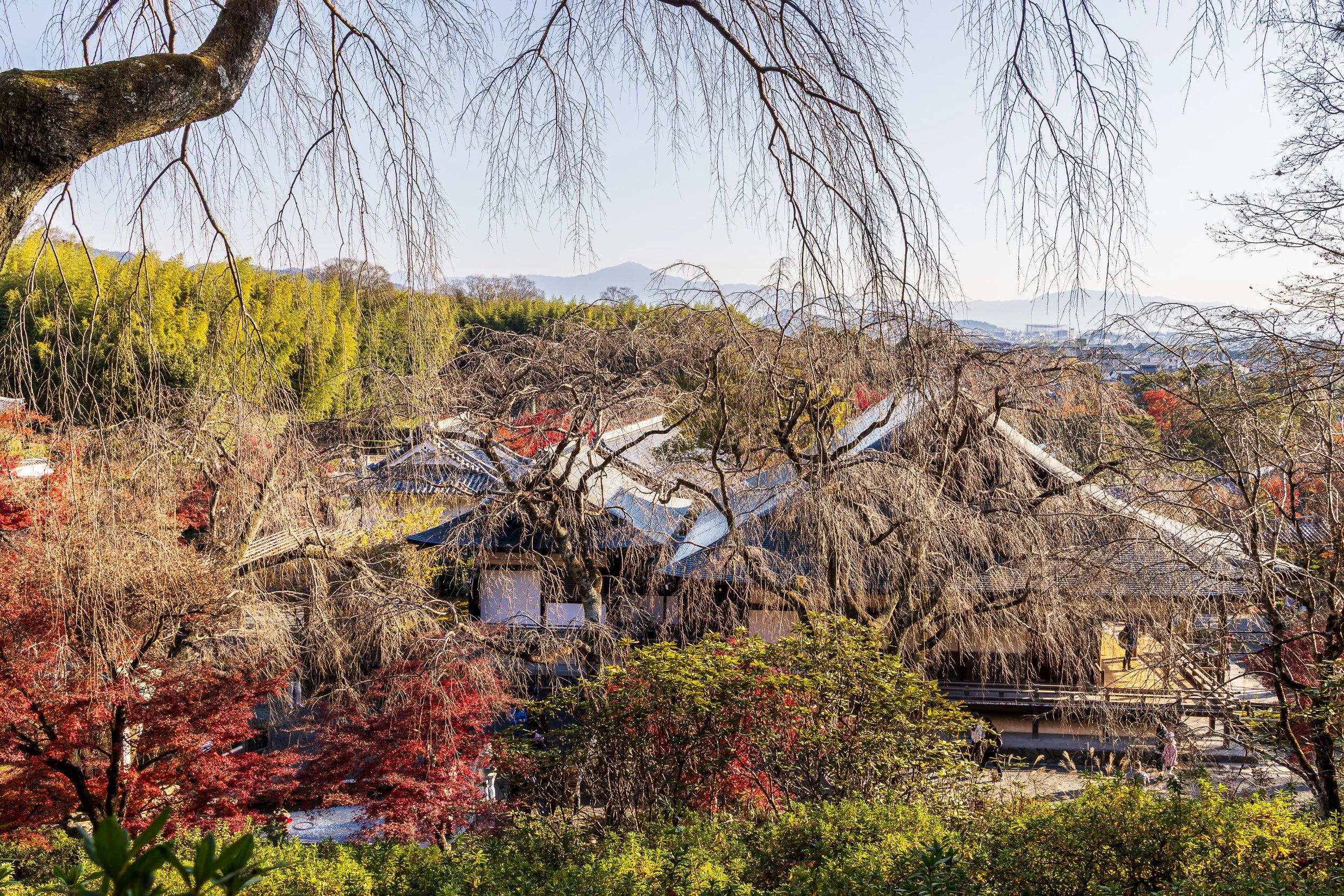 F19A3883_tenryu-ji.jpg