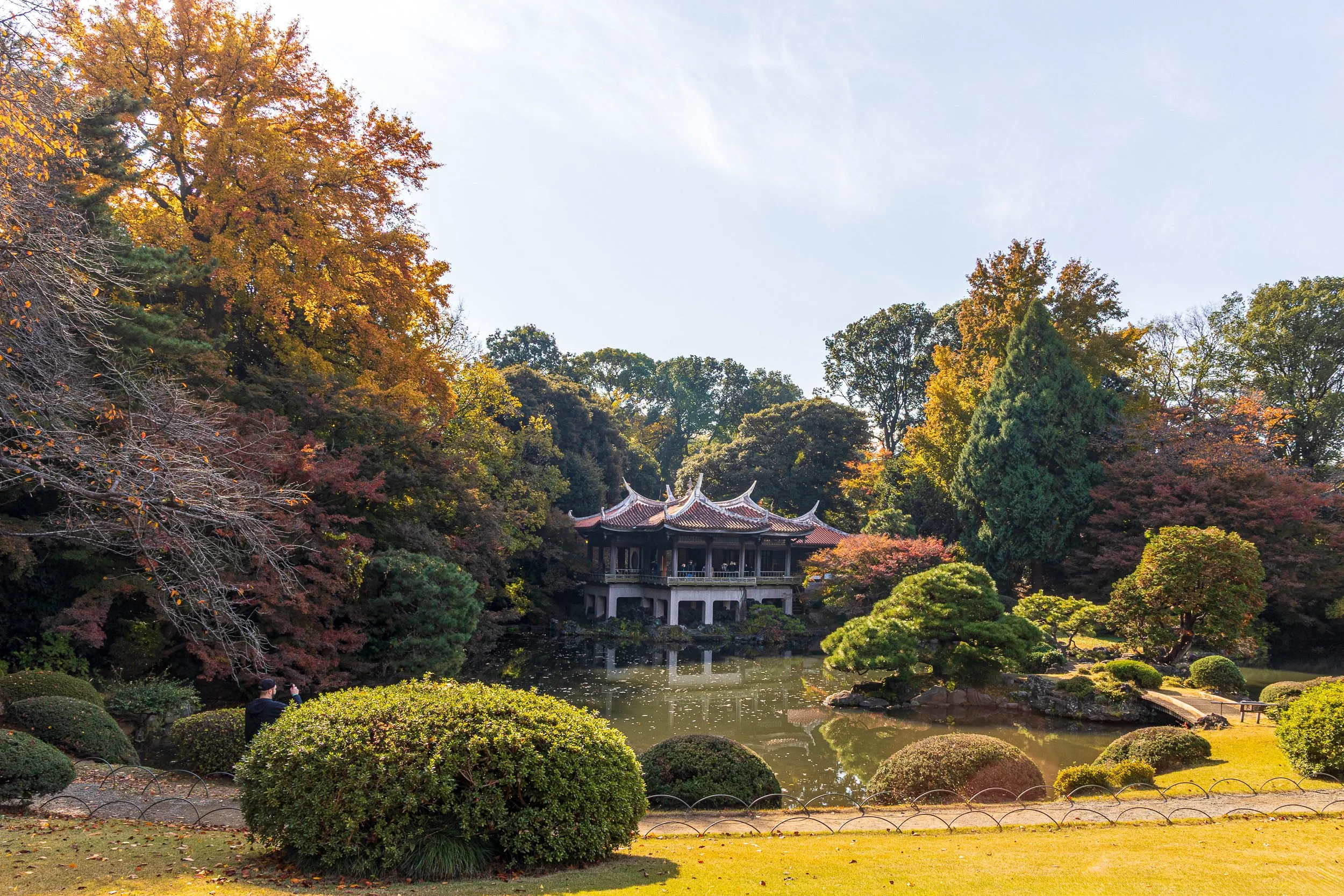 F19A2367_shinjuku-gyoen-national-garden.jpg