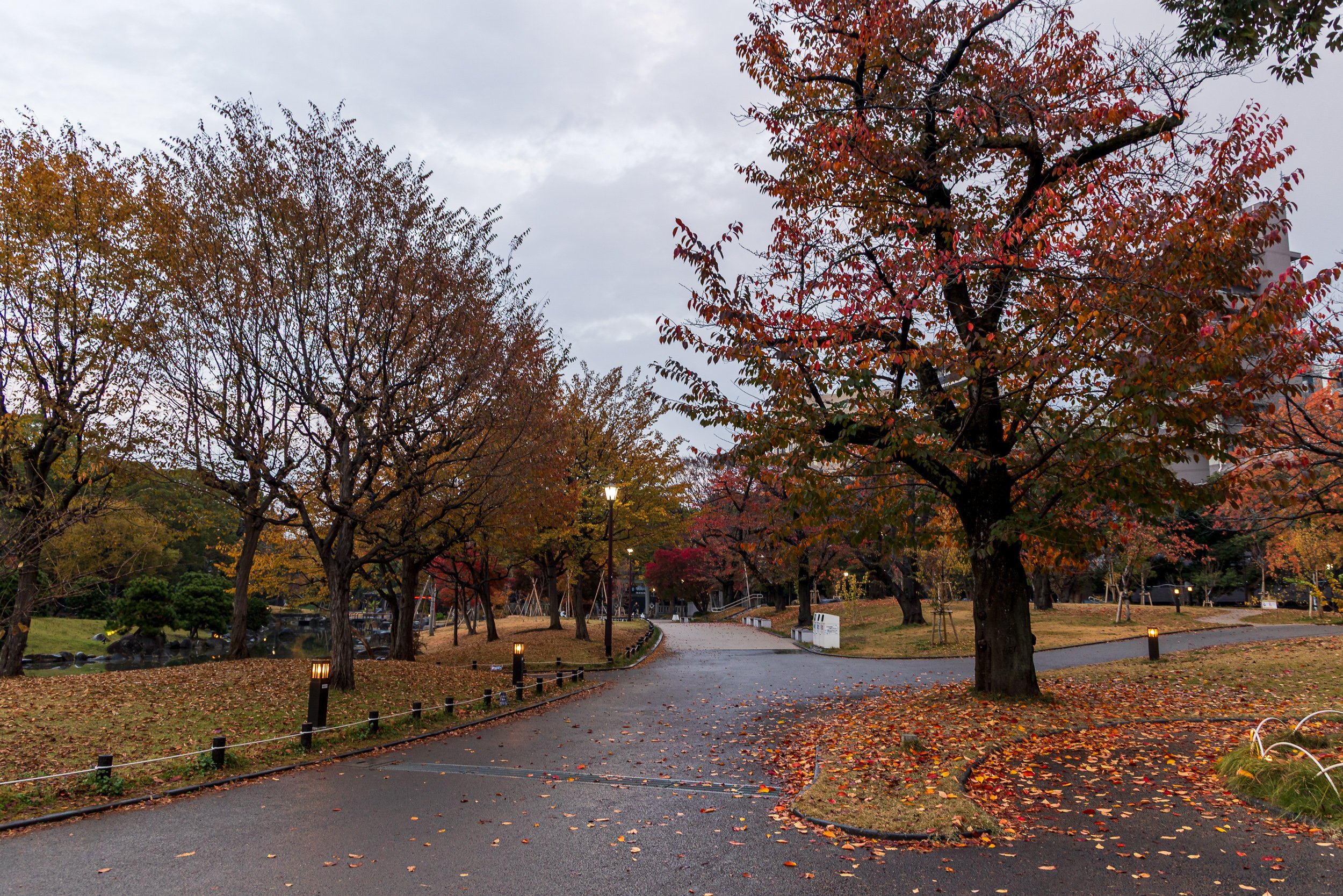 F19A1423_sumida-park.jpg