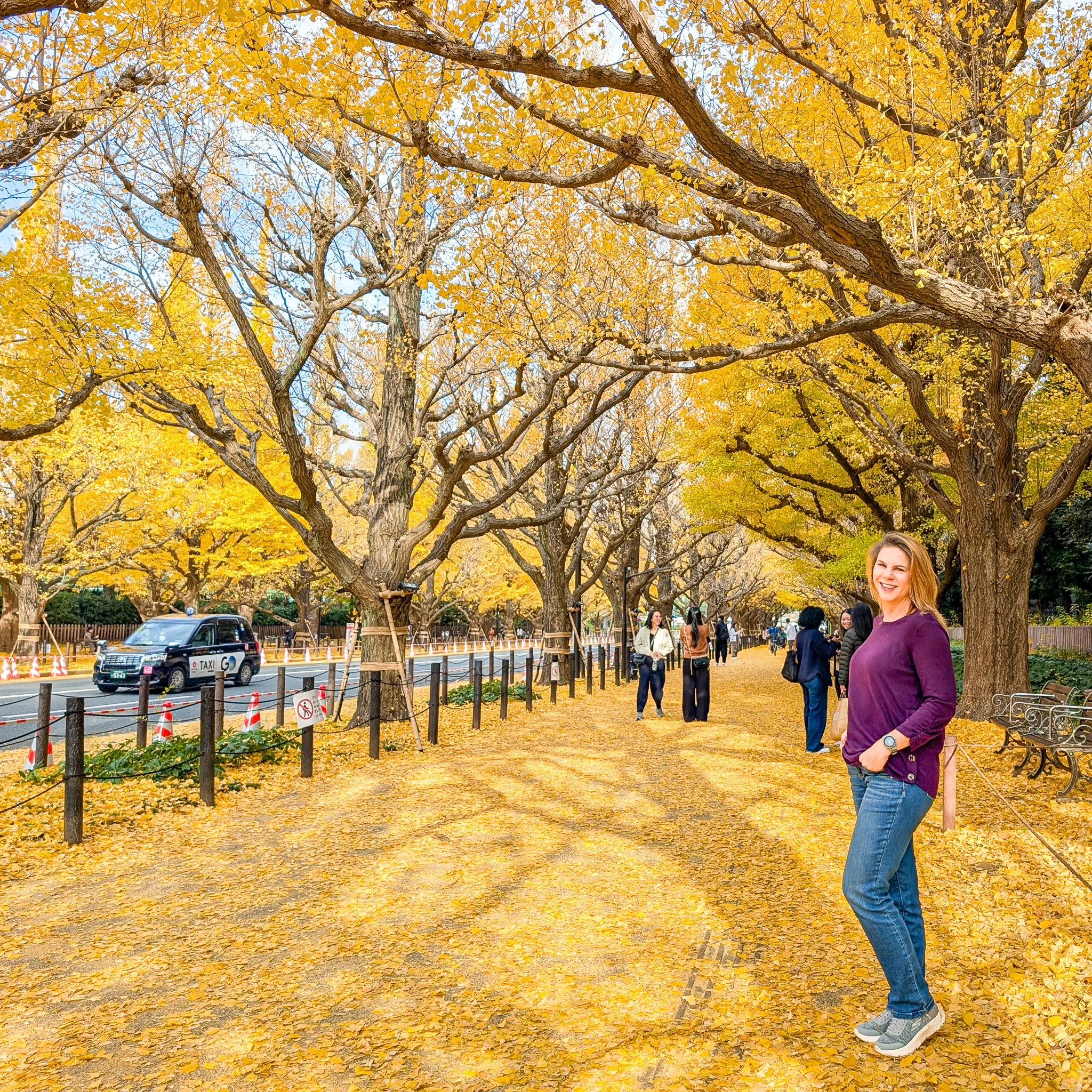 PXL_20251127_000552288__meiji-jingu-gaien-ginkgo-avenue.jpg