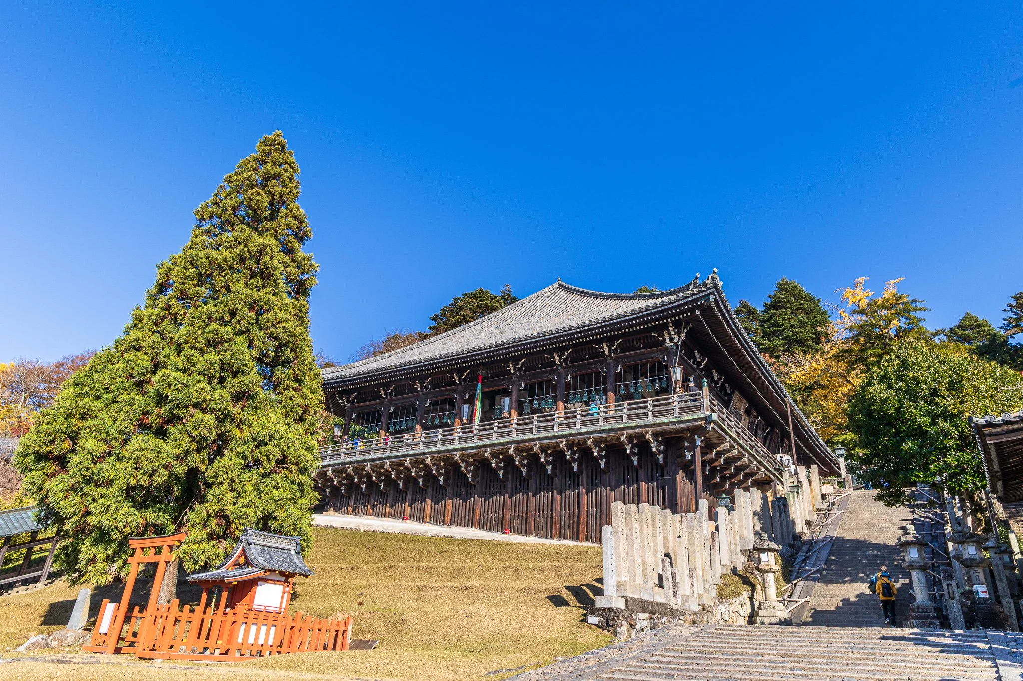 F19A3622_todai-ji-nigatsu-do.jpg