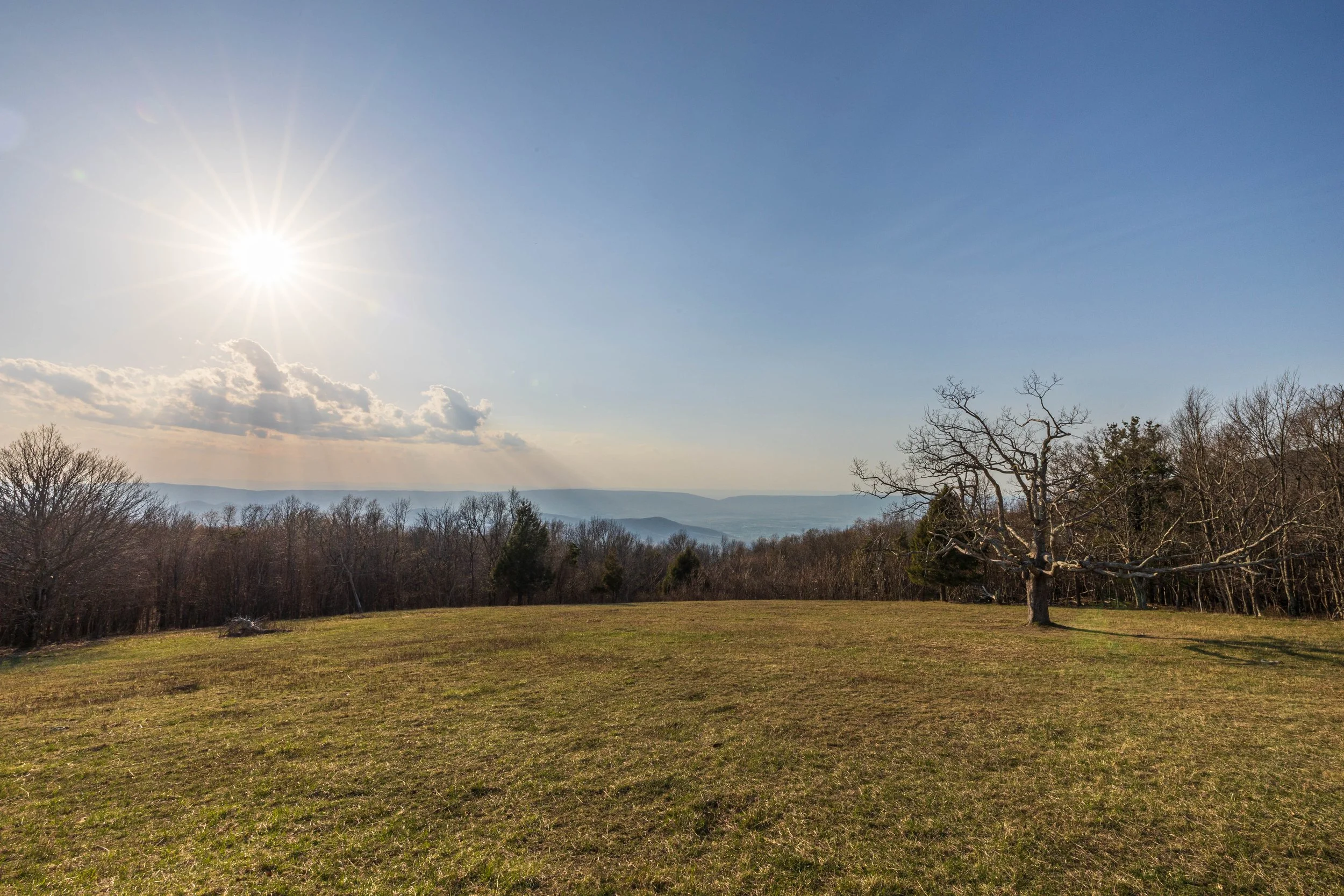 Tanners Ridge Overlook