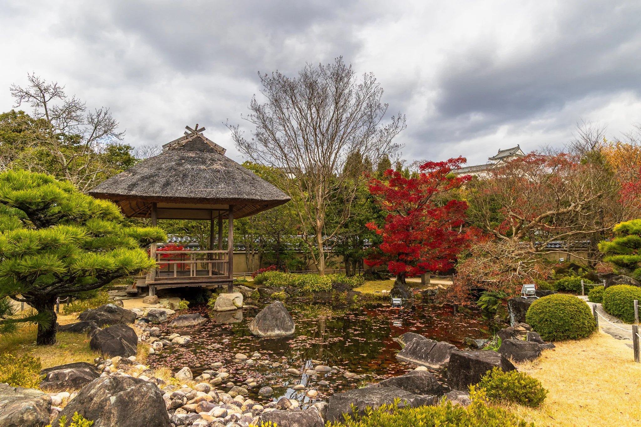 F19A5221_kokoen-garden.jpg