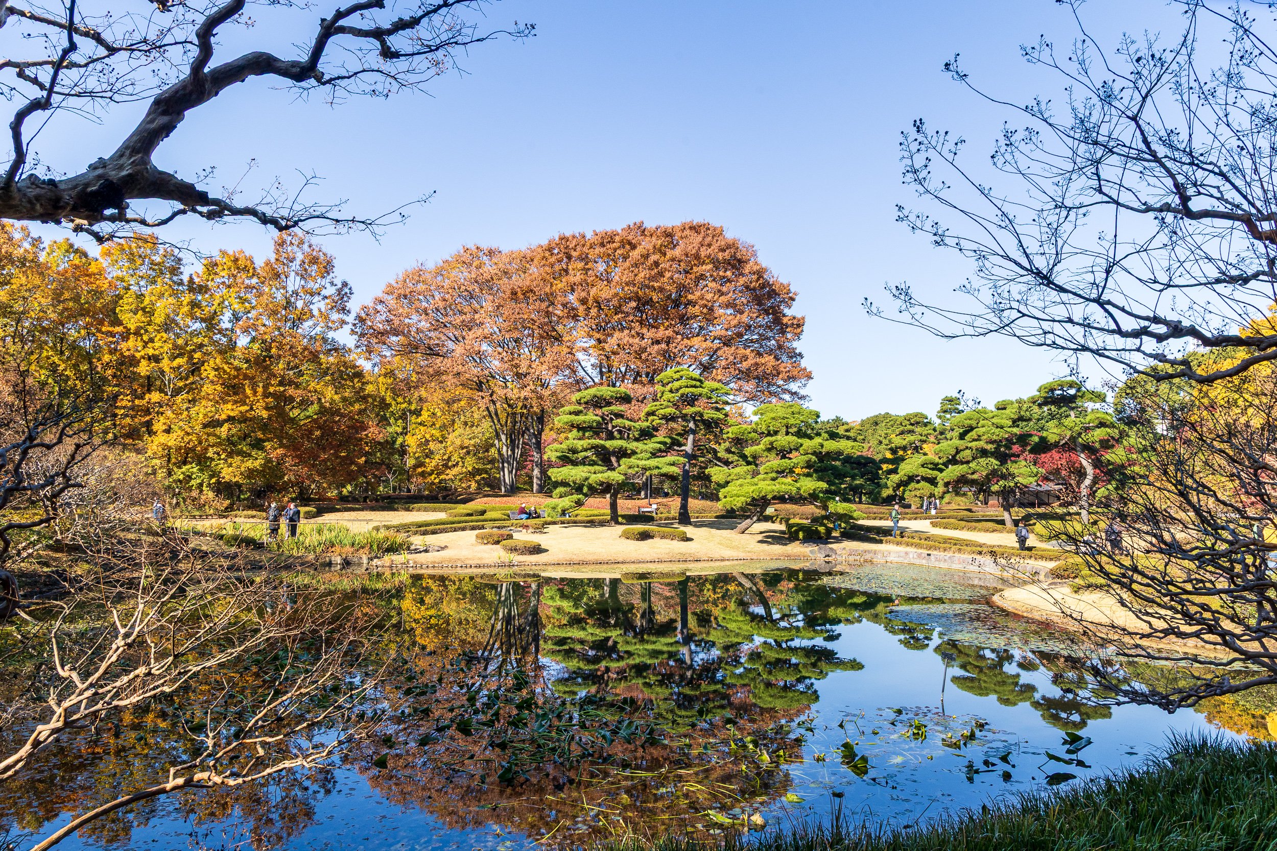 F19A1757_imperial-palace-east-gardens.jpg