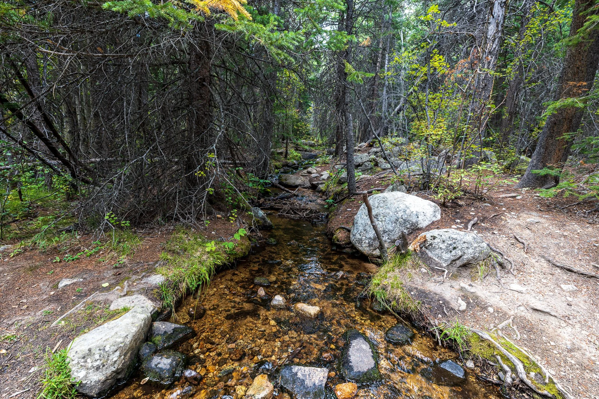 F19A1006_calypso-cascades-via-wild-basin-trail.jpg