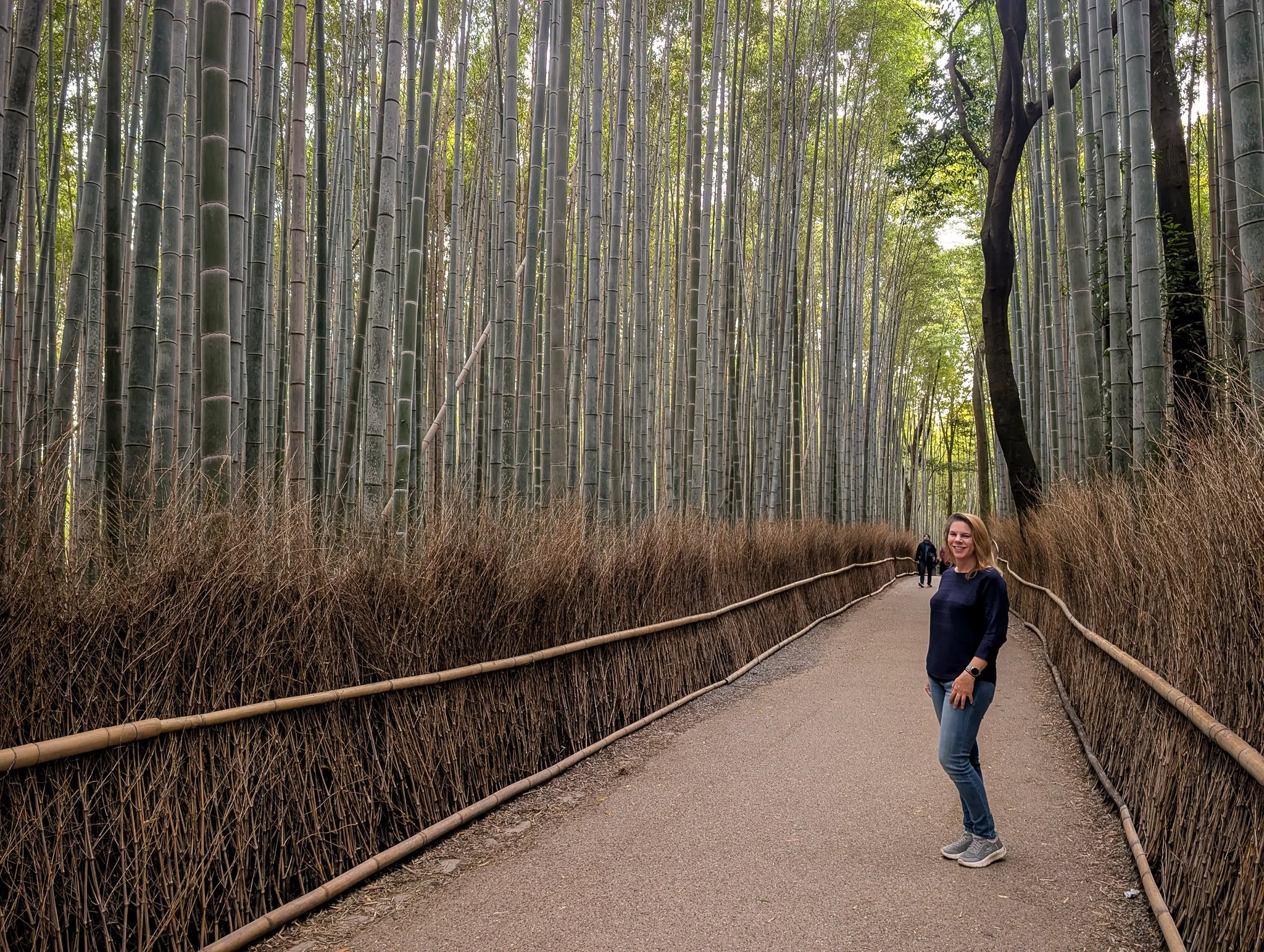 PXL_20251130_215008148_arashiyama-bamboo-forest.jpg