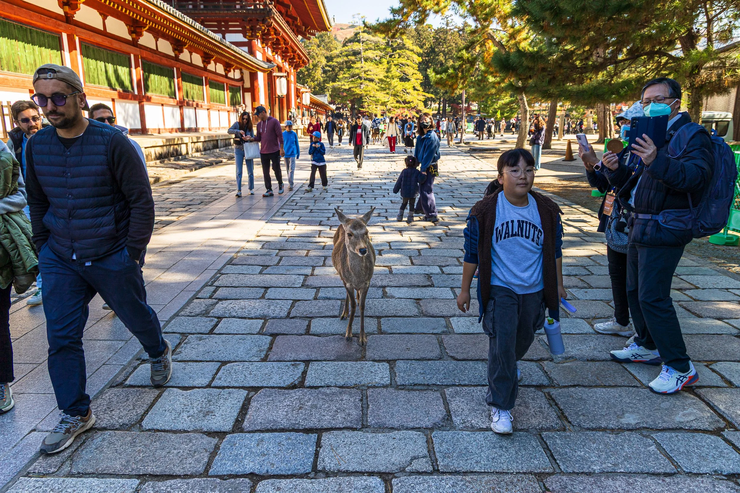 F19A3526_nara-park.jpg