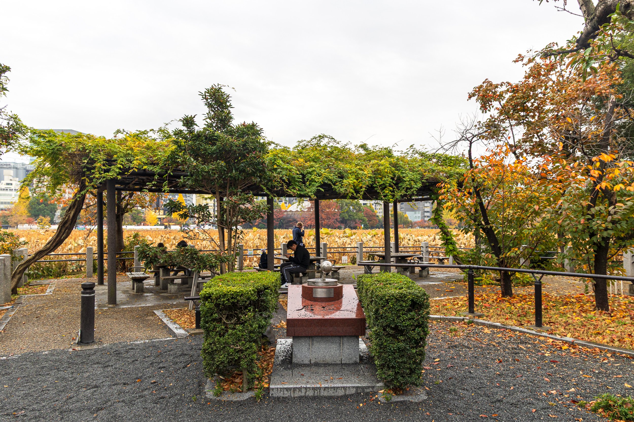 F19A1304_ueno-park.jpg