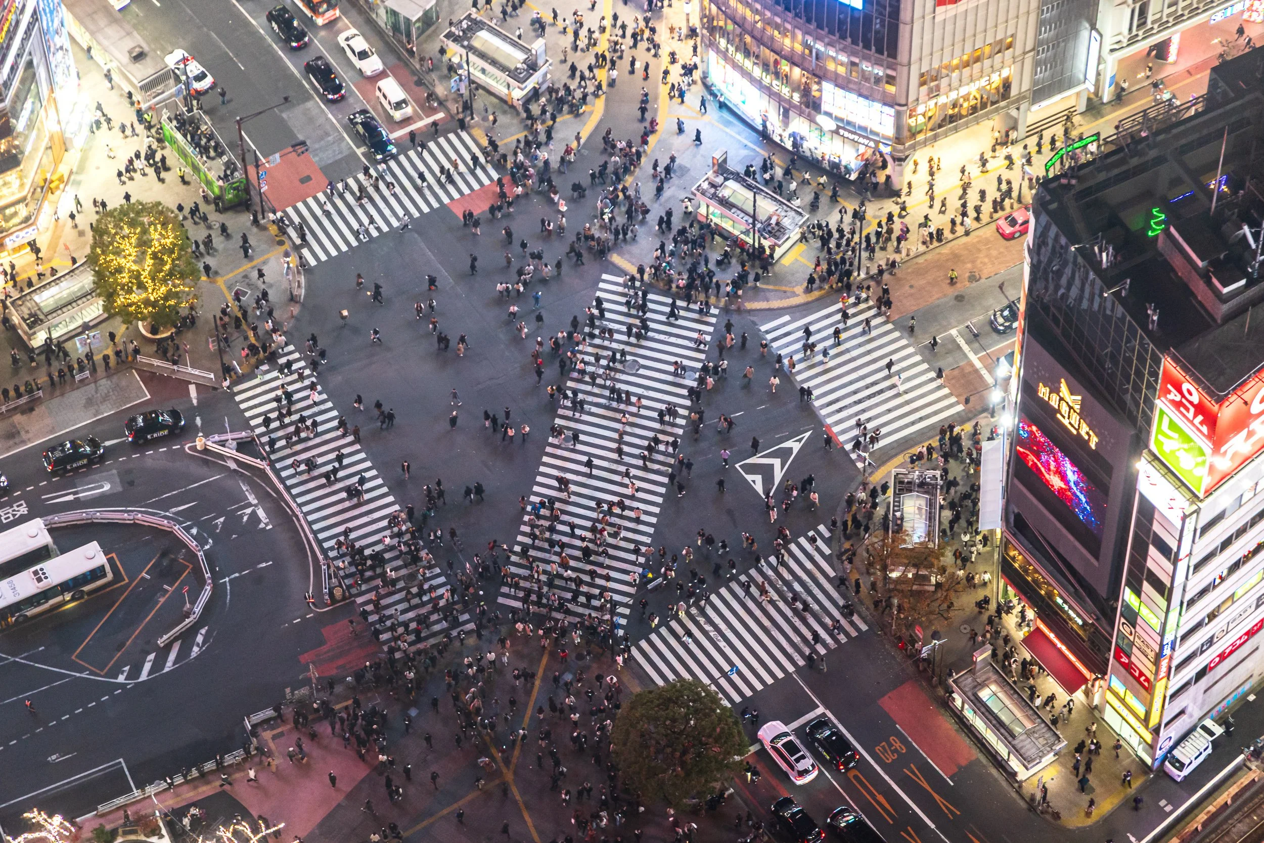 F19A2548_shibuya-sky.jpg