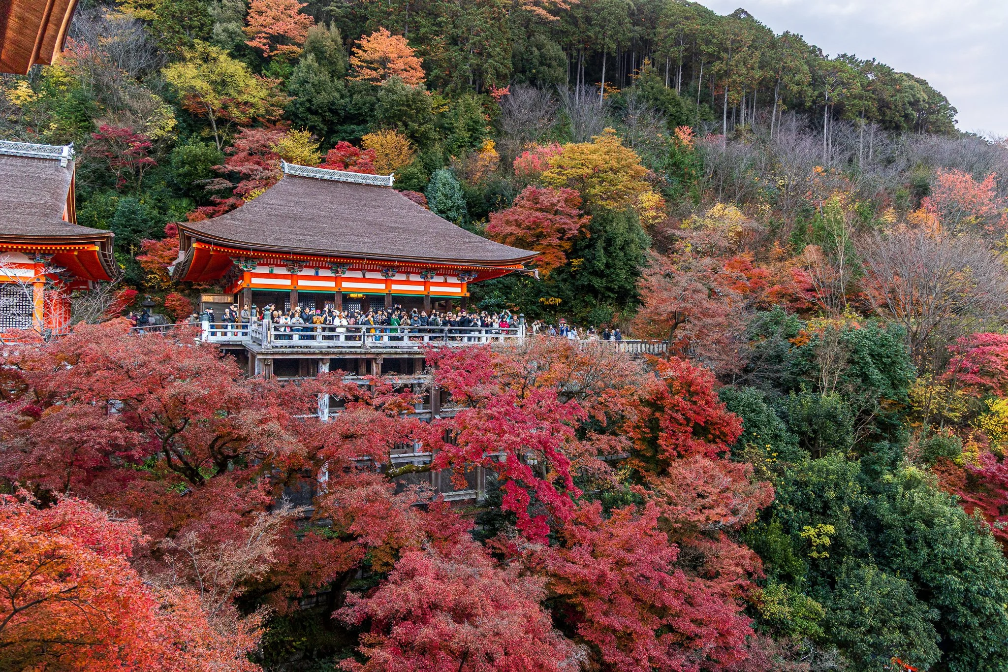 F19A4627_kiyomizu-dera.jpg