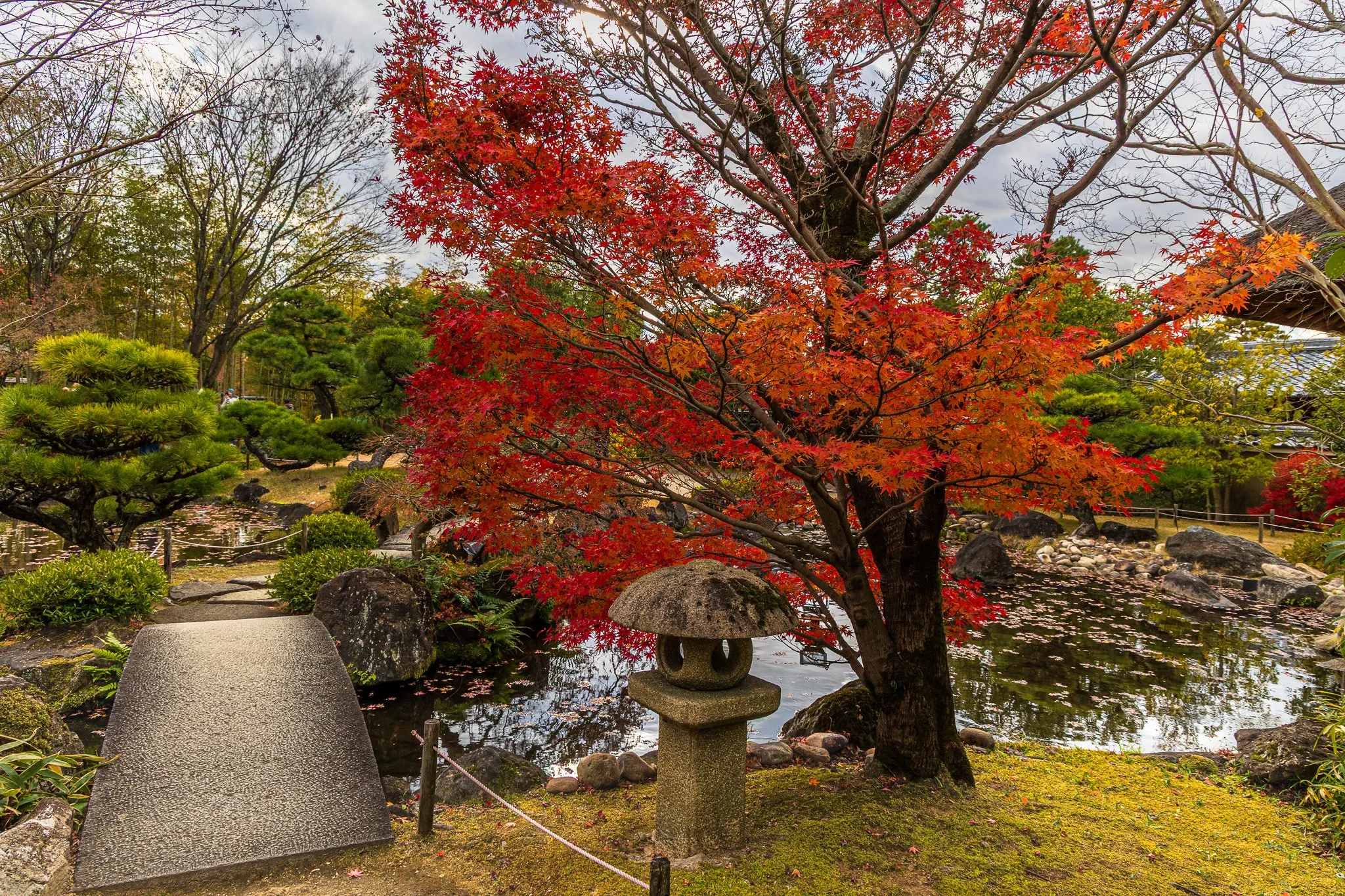 F19A5225_kokoen-garden.jpg