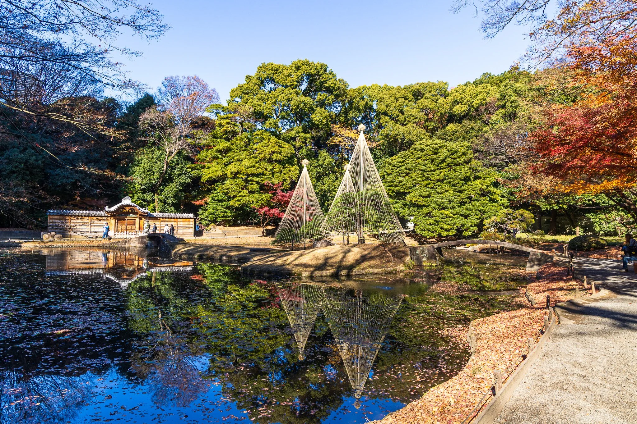 F19A5917_koishikawa-korakuen-gardens.jpg