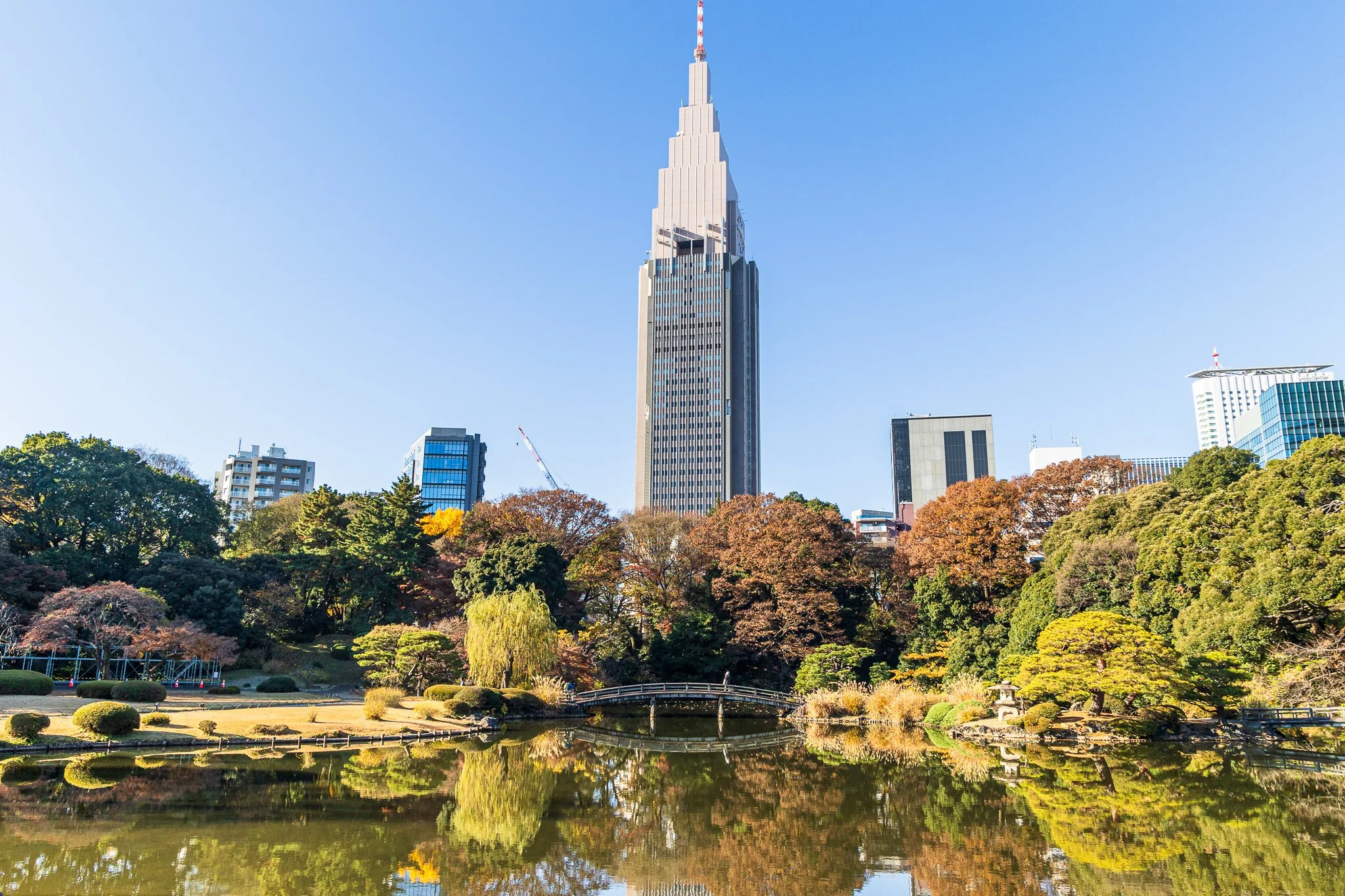 F19A5880_shinjuku-gyoen-national-garden.jpg