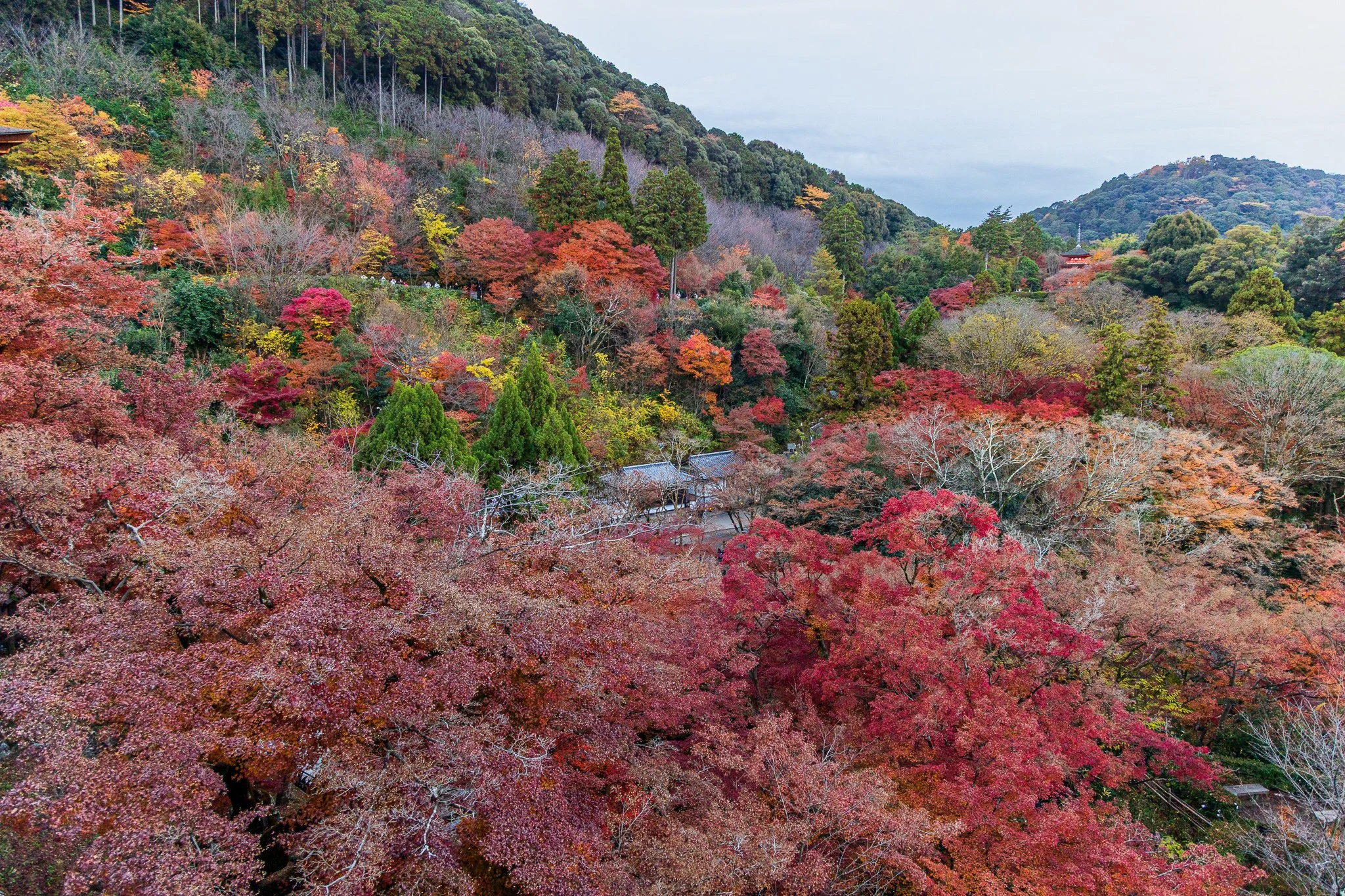F19A4618_kiyomizu-dera.jpg