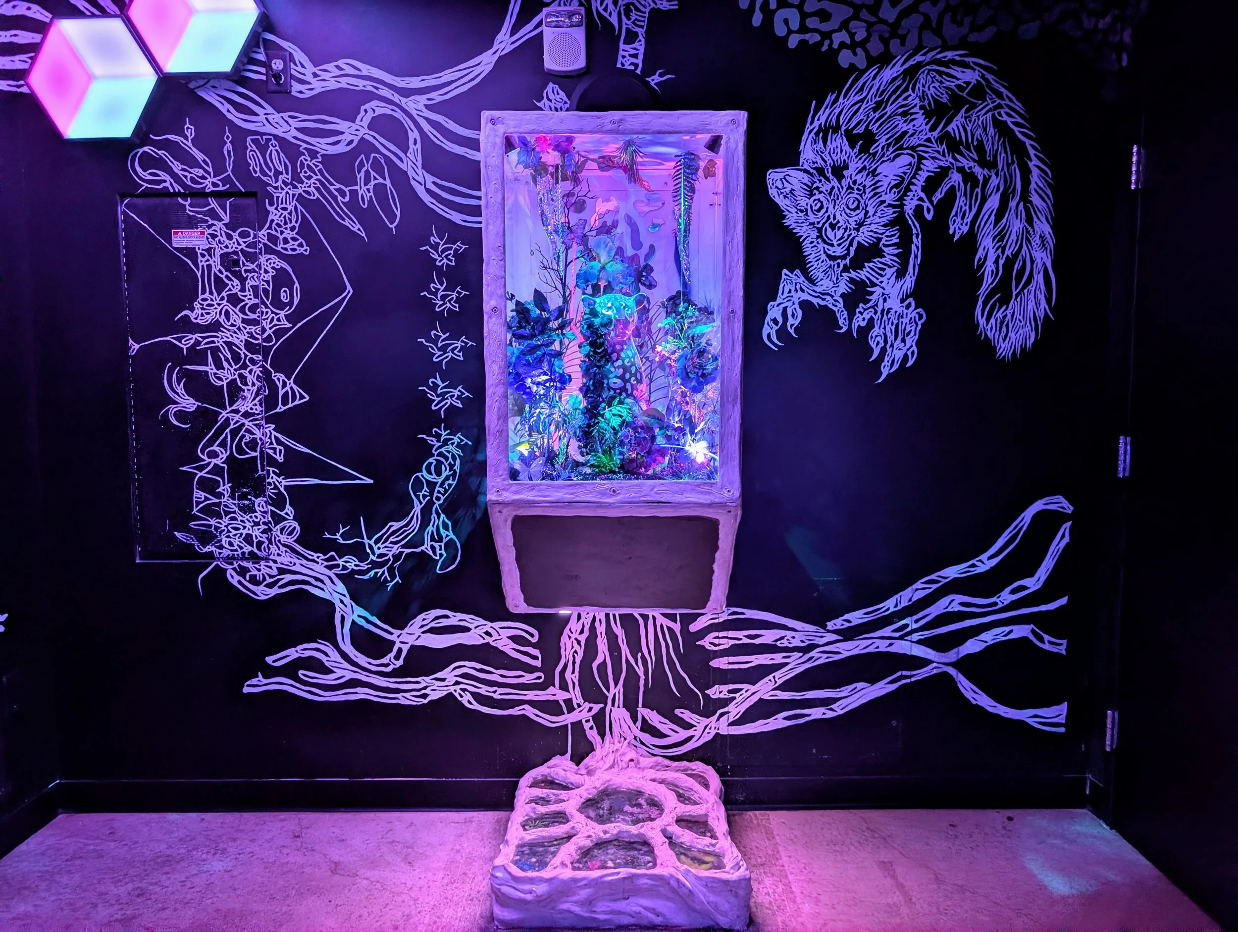 Aquakota Nightclub in C Street