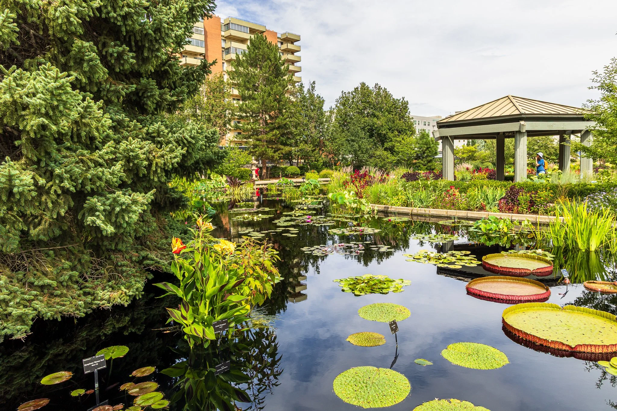 F19A9938_denver-botanic-gardens.jpg