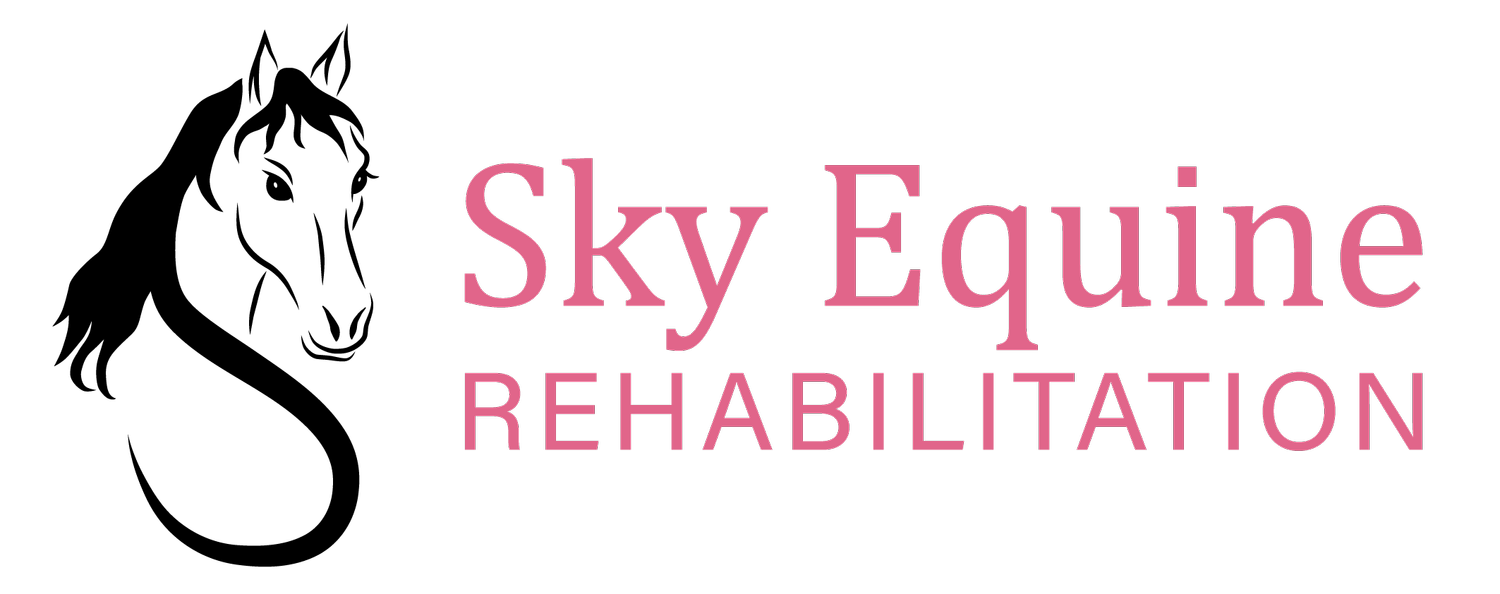 Sky Equine Rehabilitation