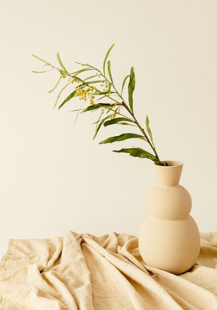 Minimalist cream vase with a single branch on a draped table, representing somatic therapy for faith transitions and spiritual healing for women in New York City.