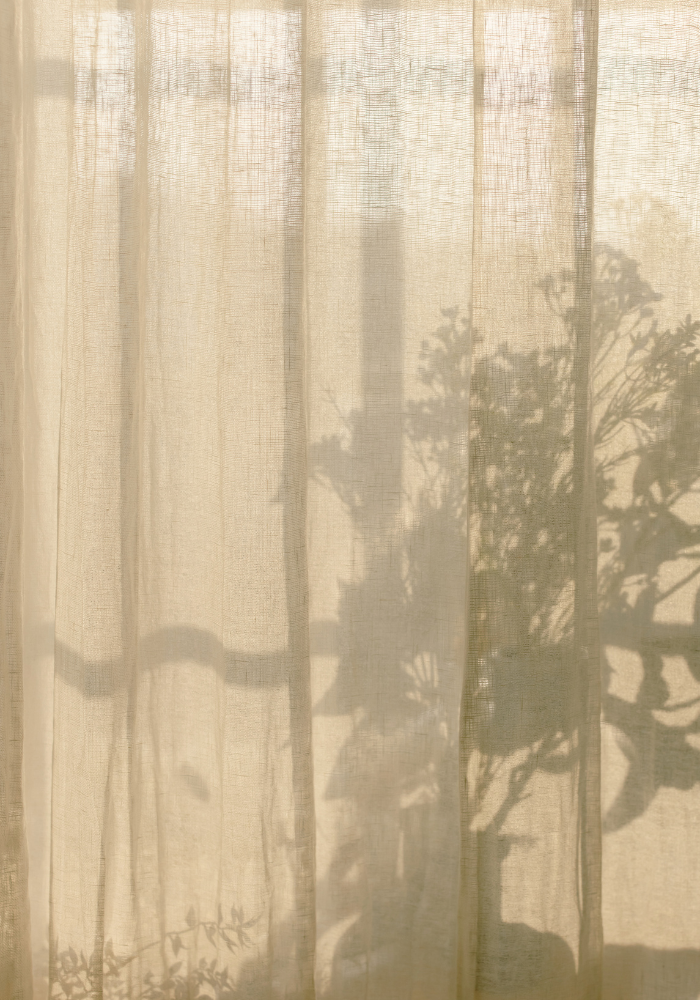 Soft shadow of a plant against a curtain, representing stillness and grounding in somatic therapy for mothers in New York City.